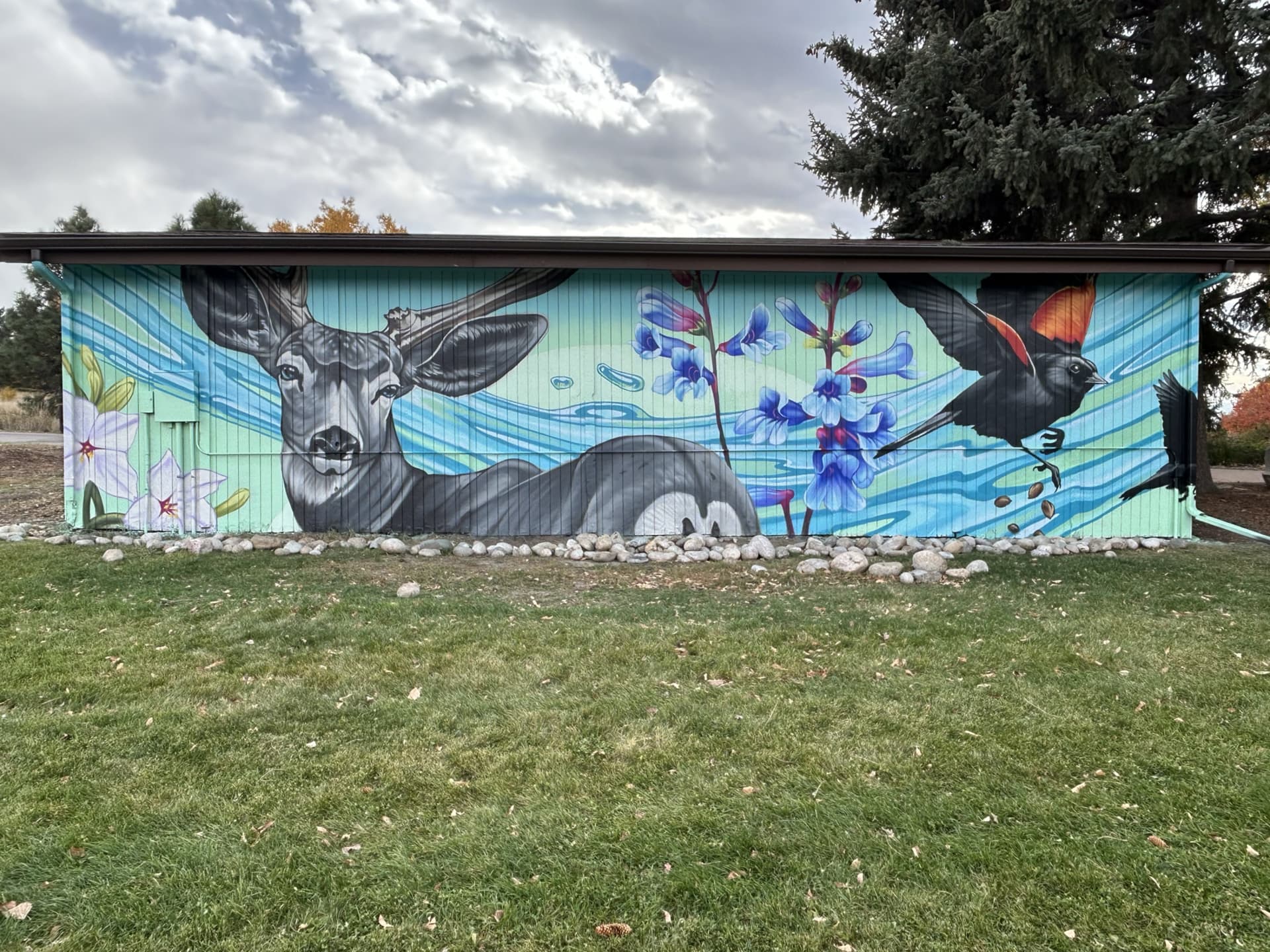 Whispers of Nature in Urban Harmony