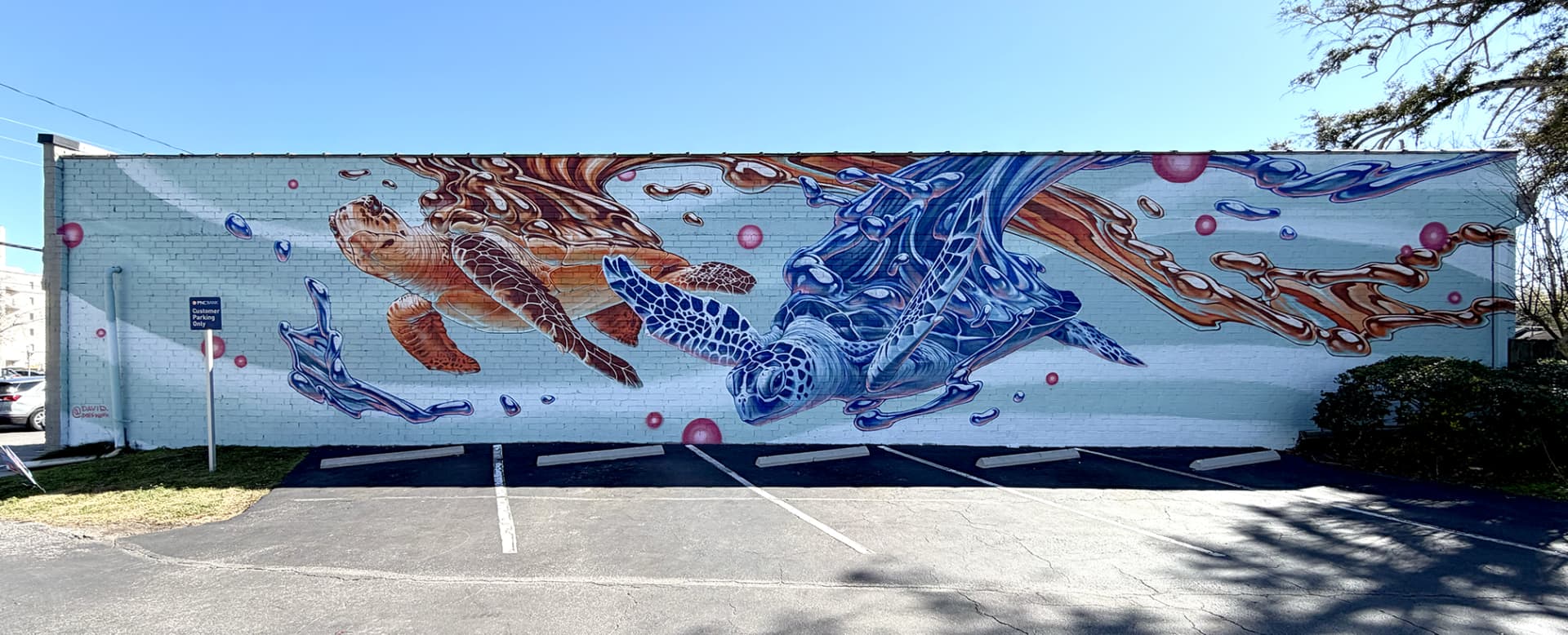Turtles in a Dance of Ocean Currents