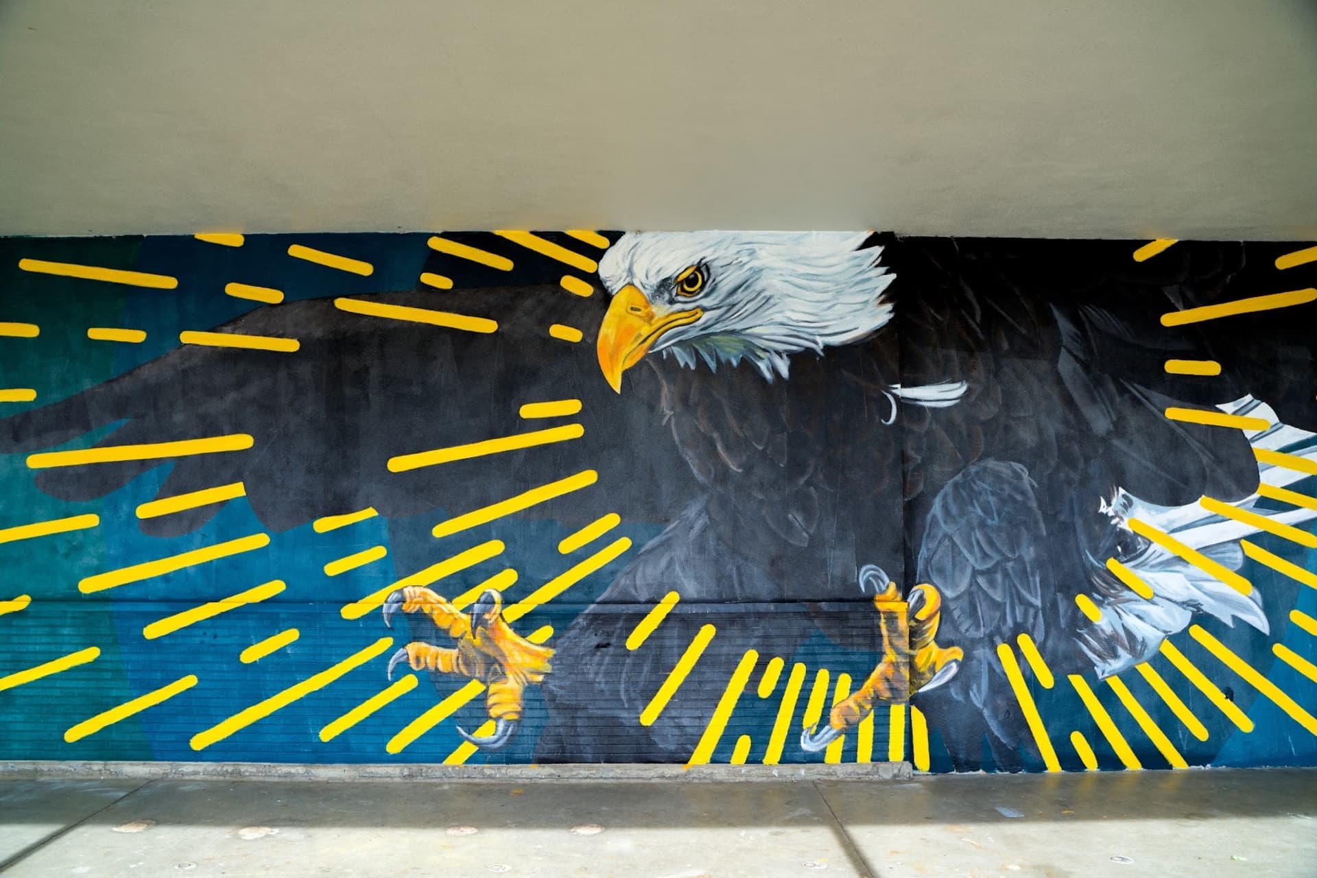 Eisenhower eagles