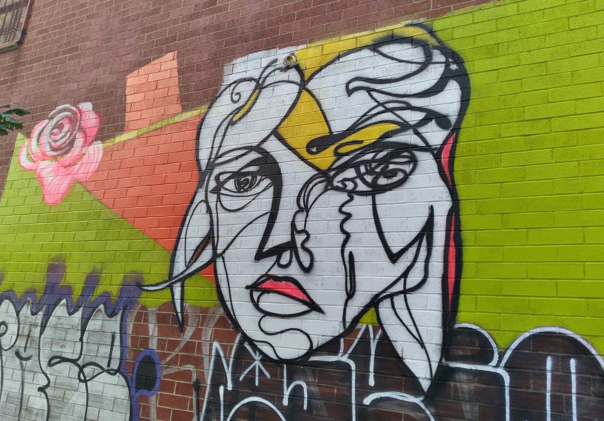 girl with rose