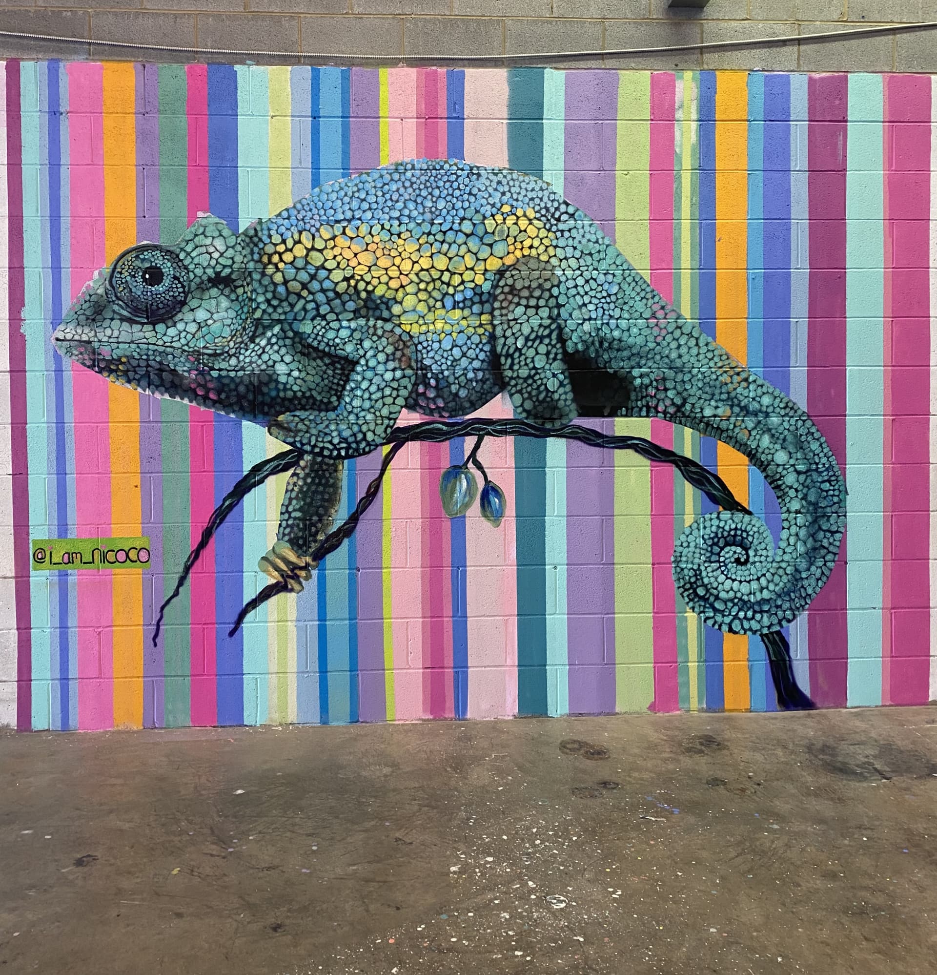 Chameleon Colors