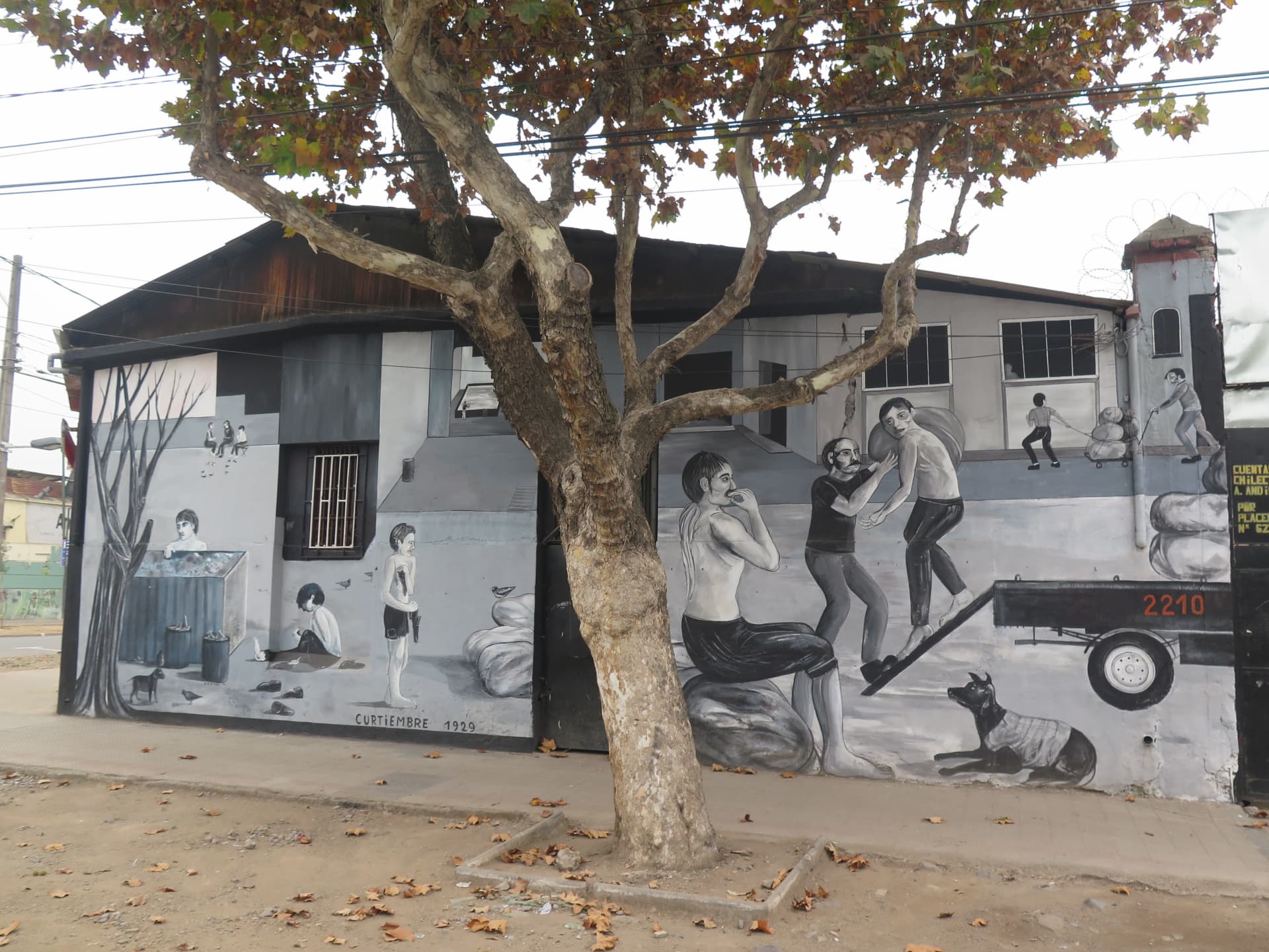 curtiembre 1924