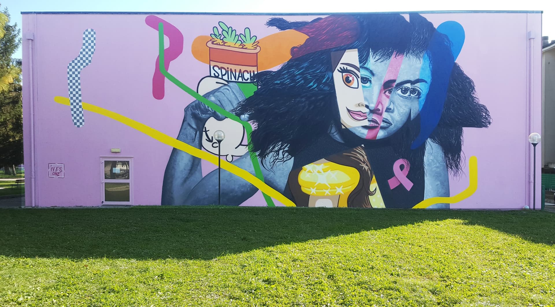 Faces of Resilience and Colorful Identity