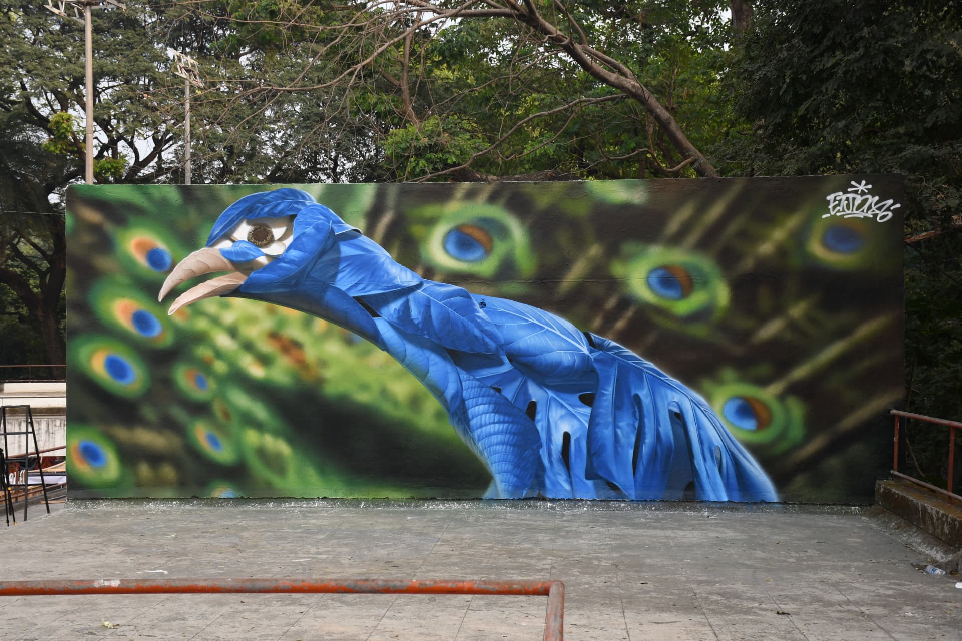 The Peacock