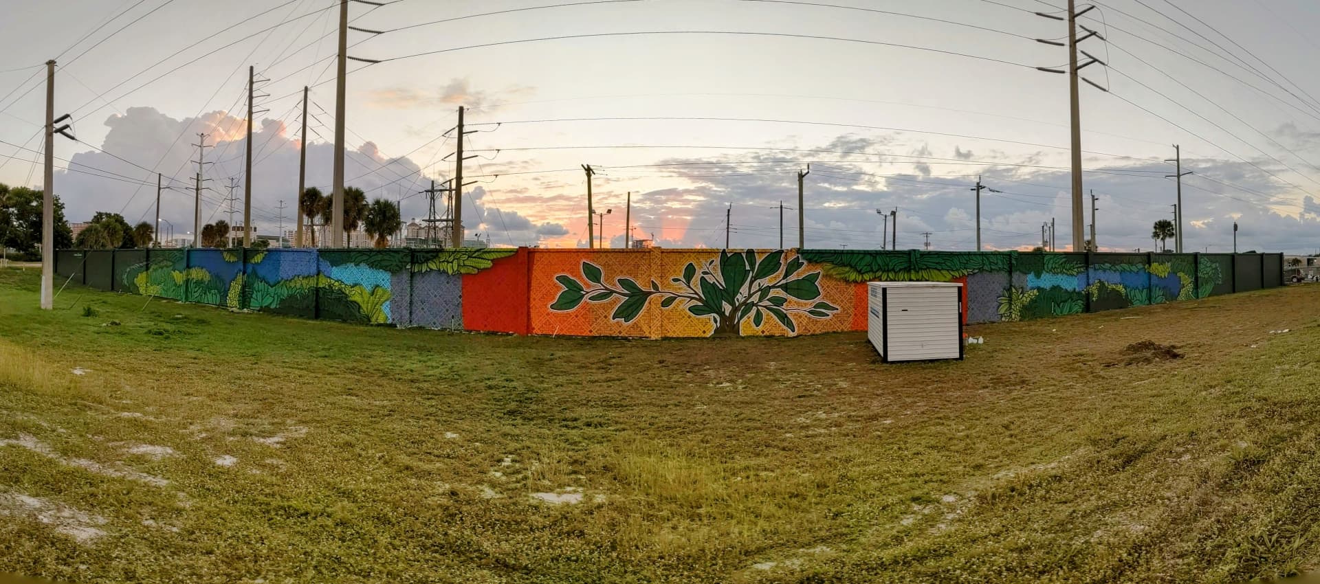 Florida Flora