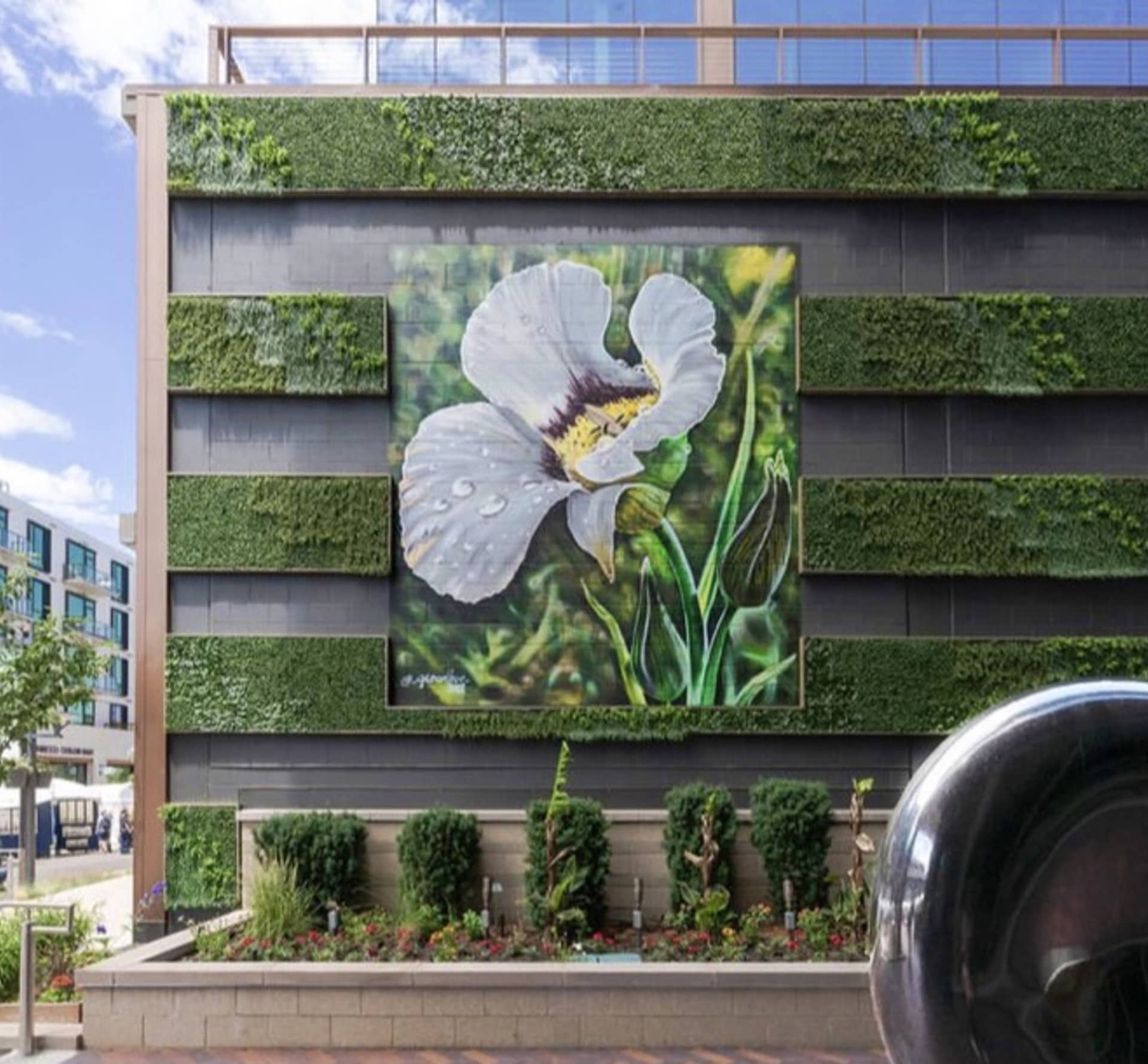 Mariposa Lily Mural