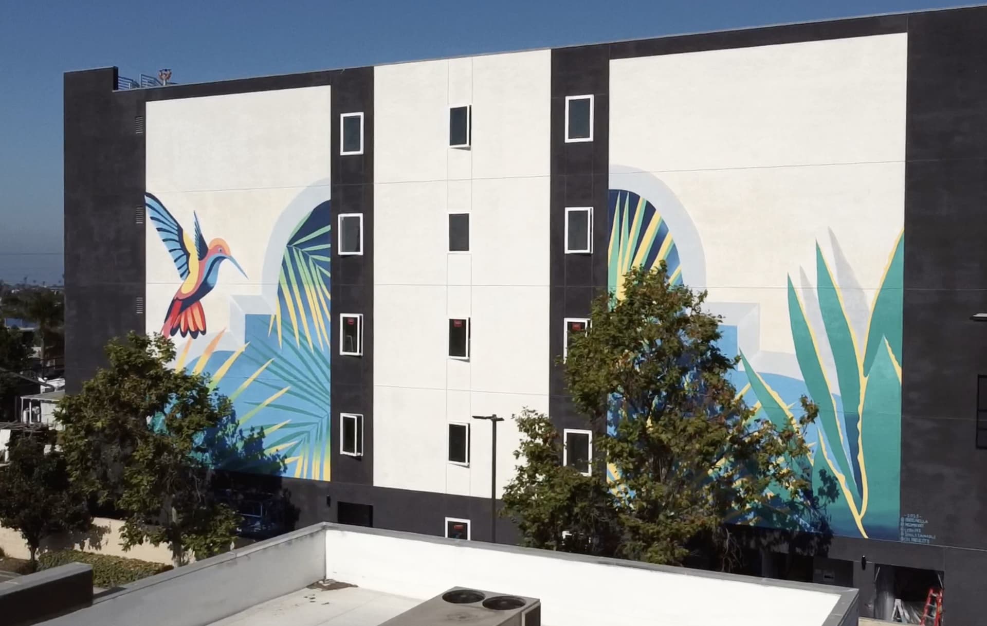Tropical Harmony in Urban Canvas