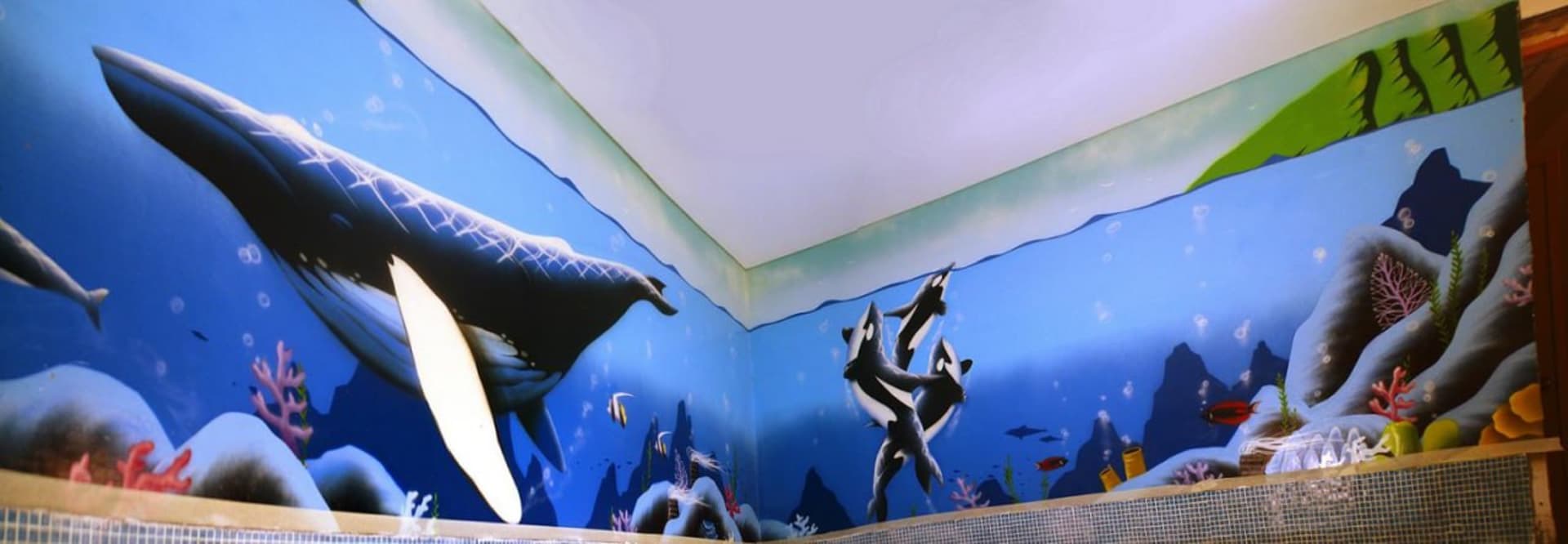 Undersea world
