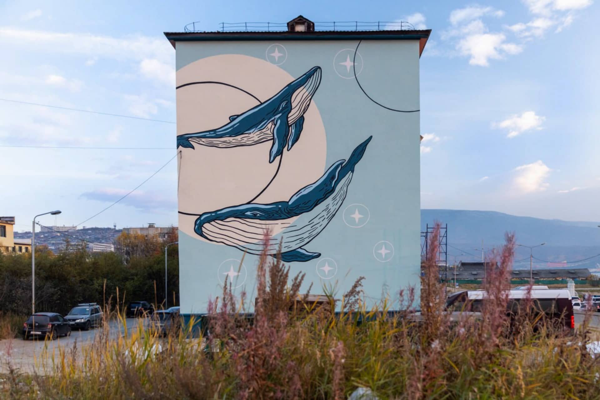 whales