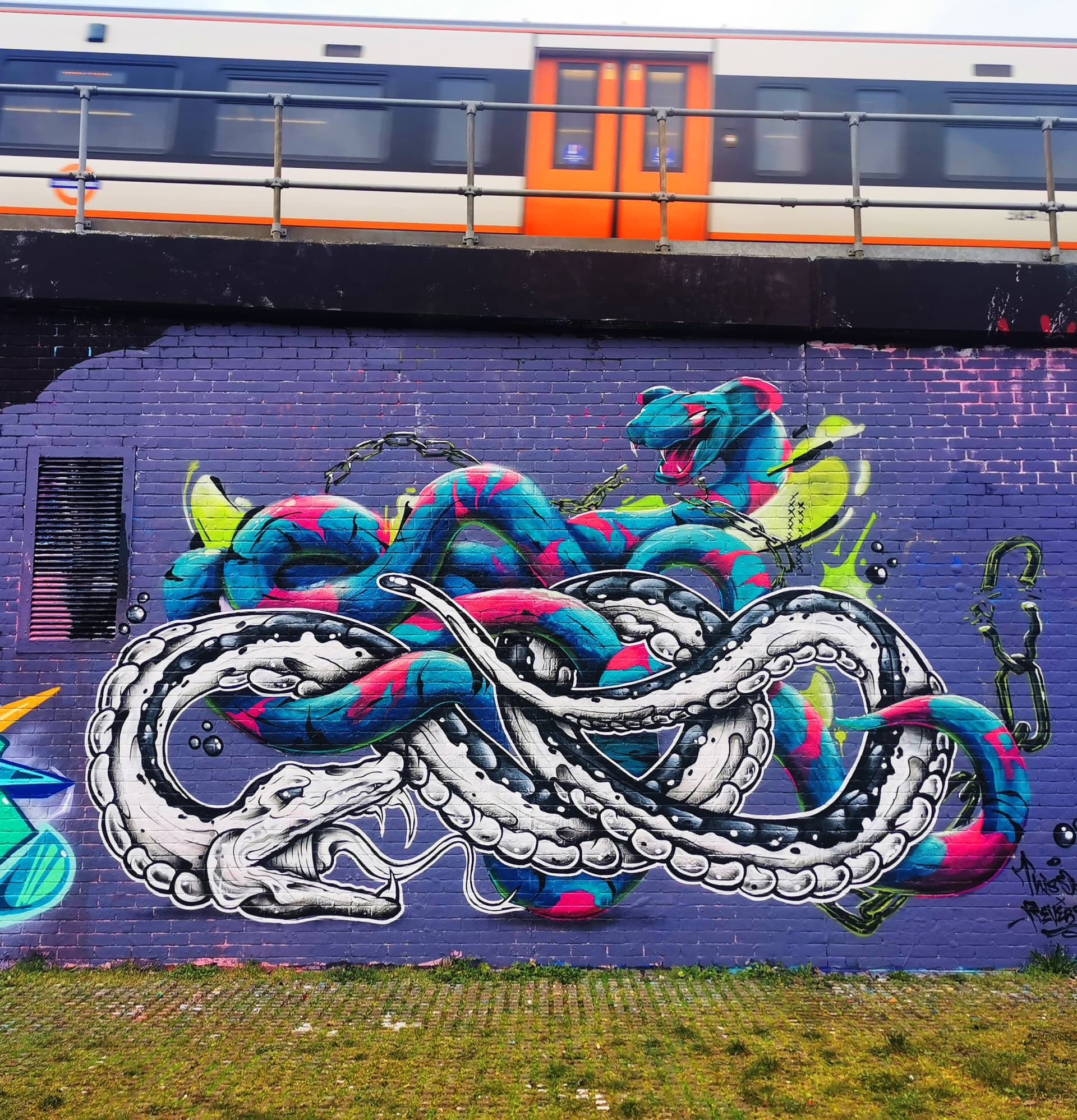 Serpents