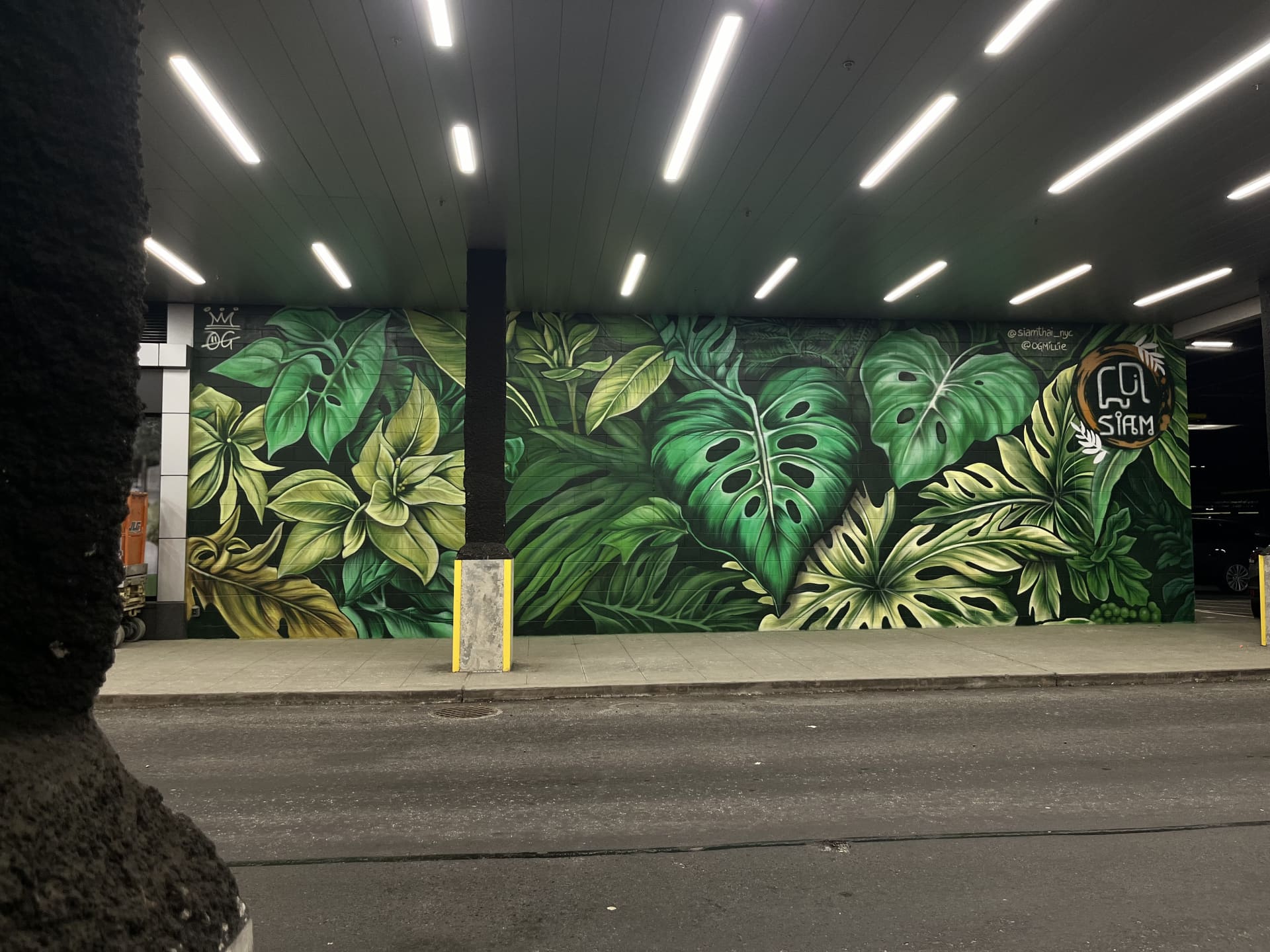Tropical oasis 