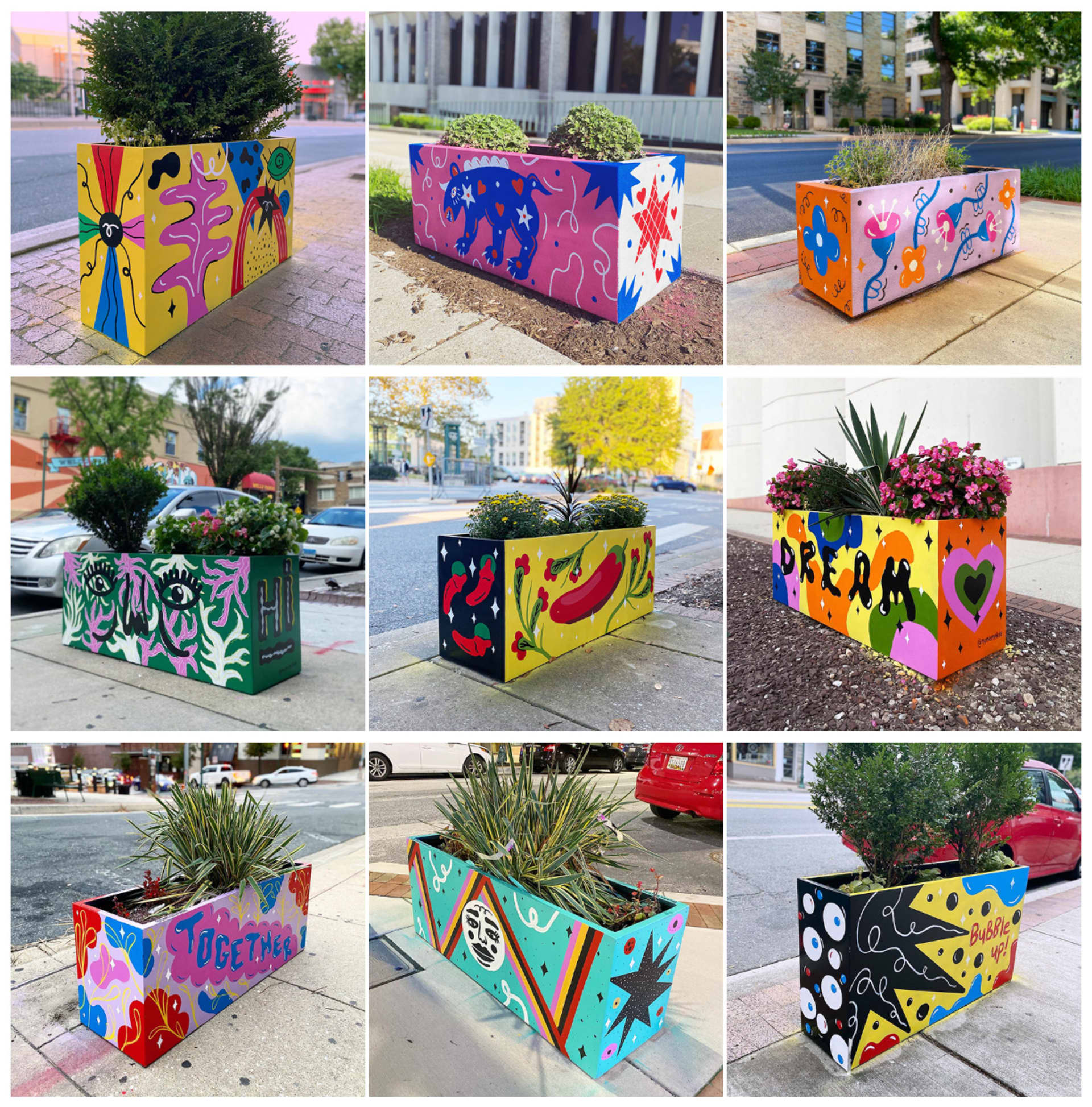 Downtown Flower Boxes