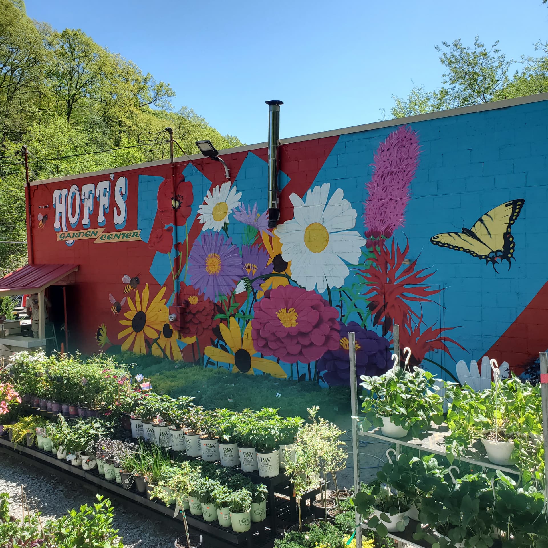 Hoff's Garden
