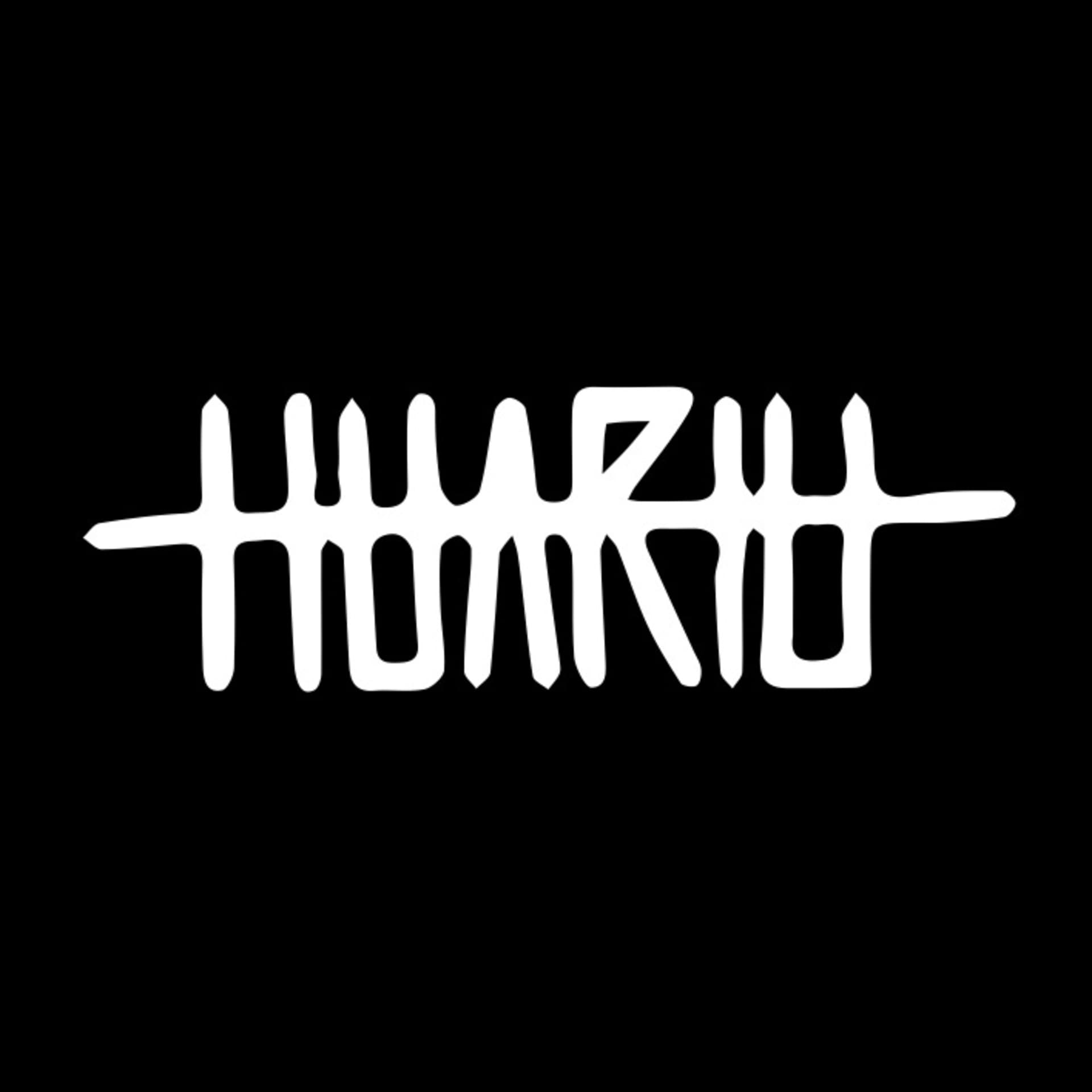 Huariu's profile image