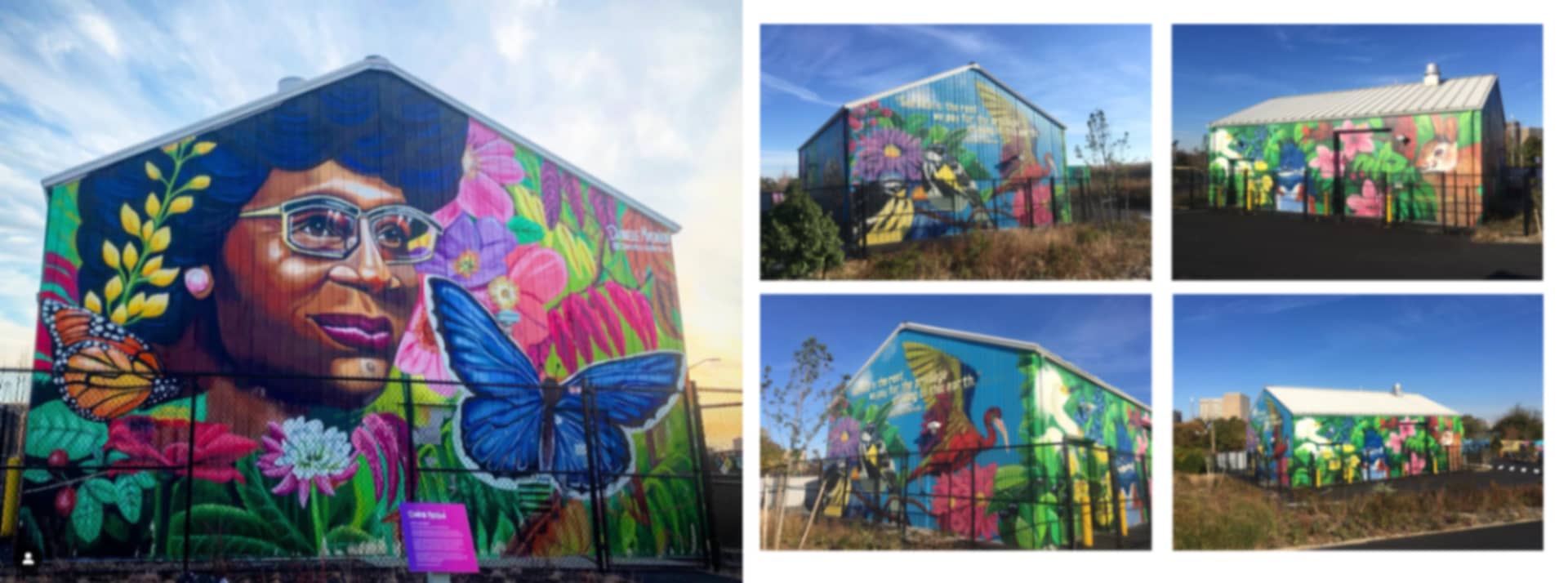 Shirley Chisholm State Park Mural