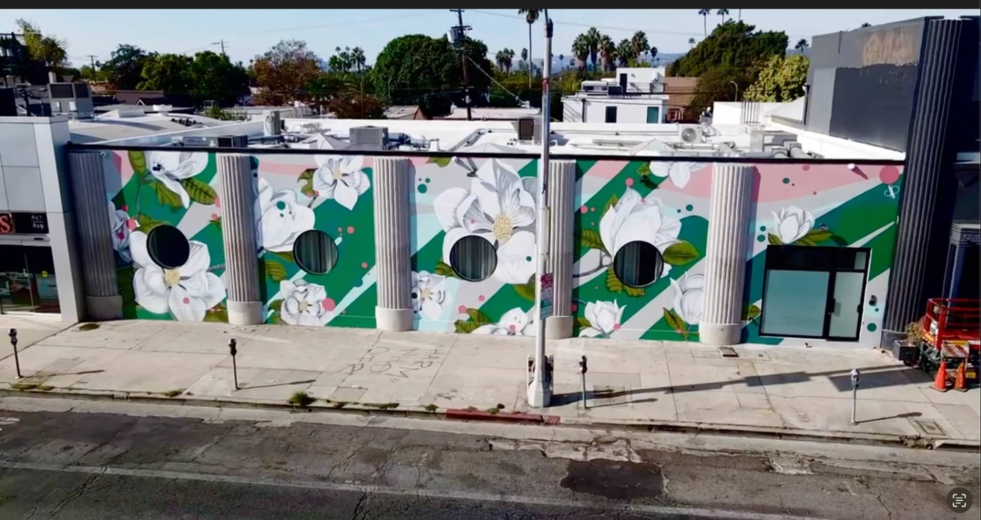 Vi Derm Corporate Mual in L.A.