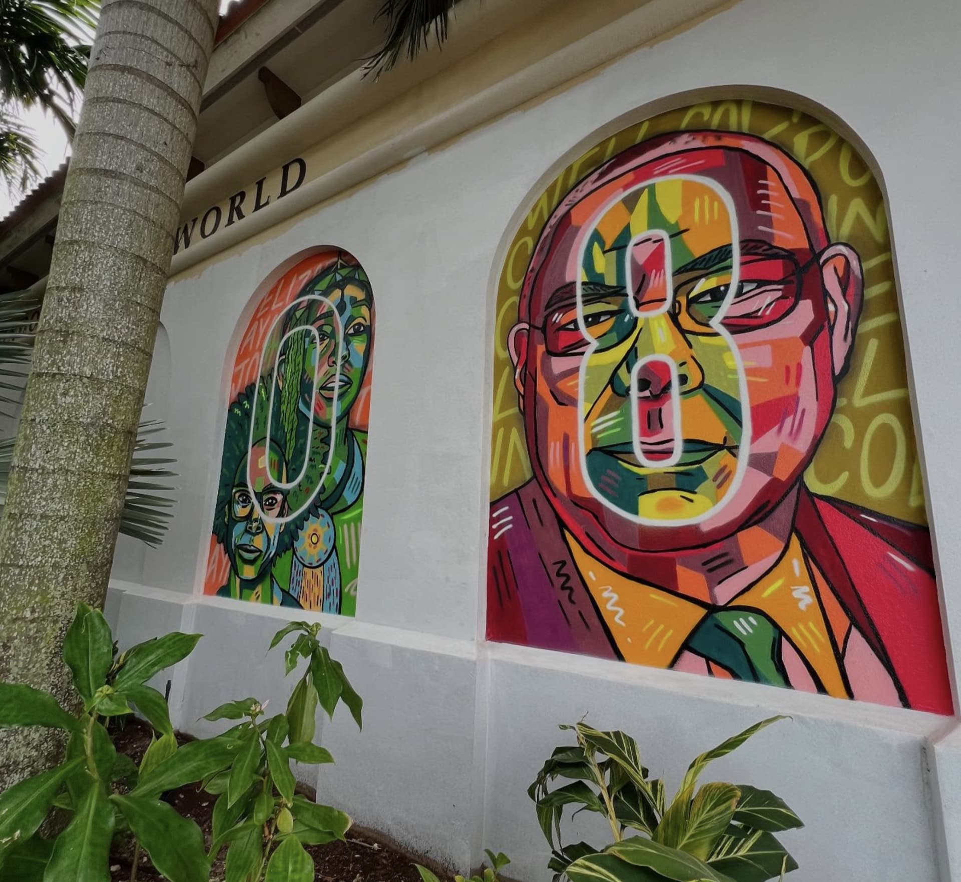 Faces of Colorful Identity and Expression