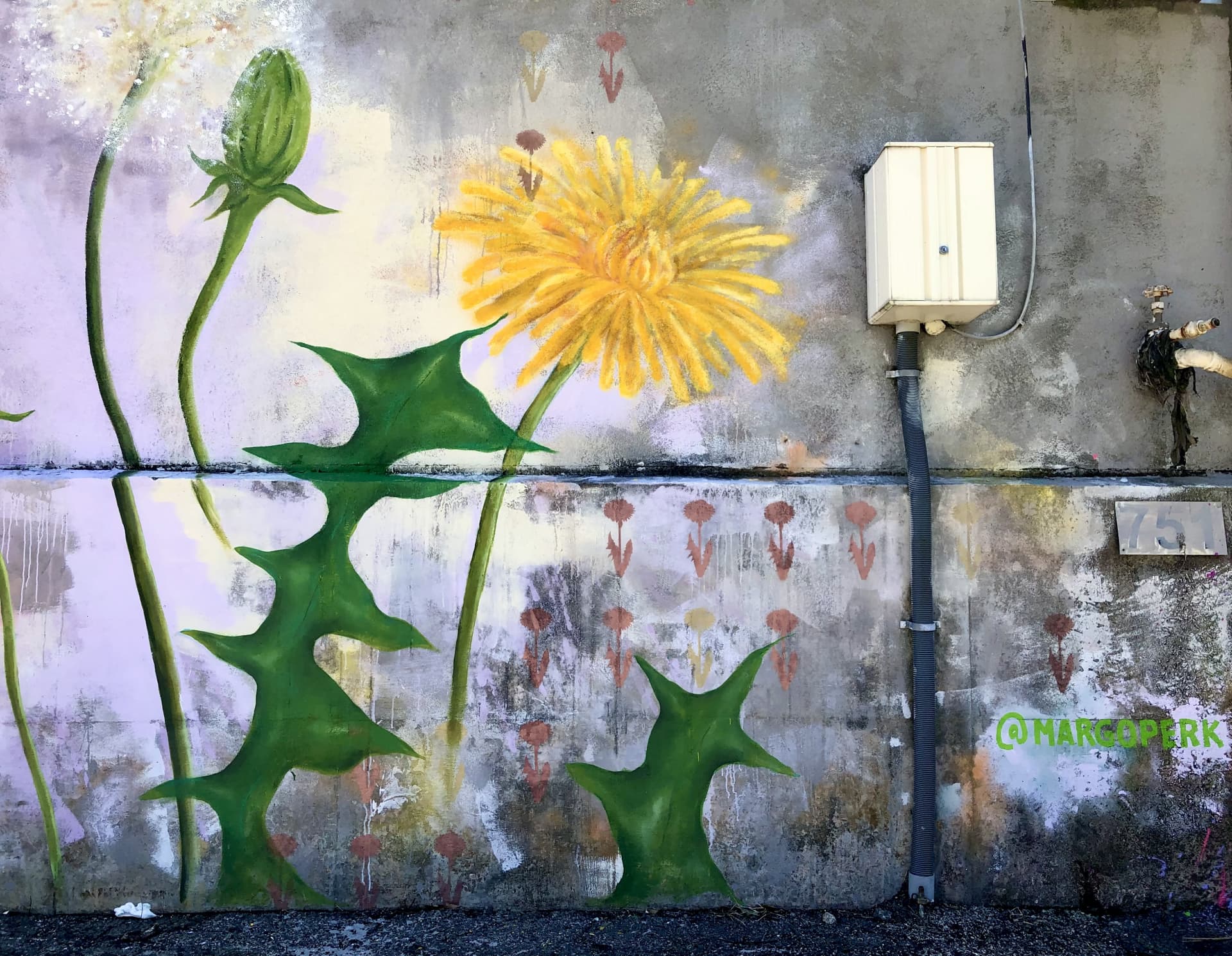 Weeds