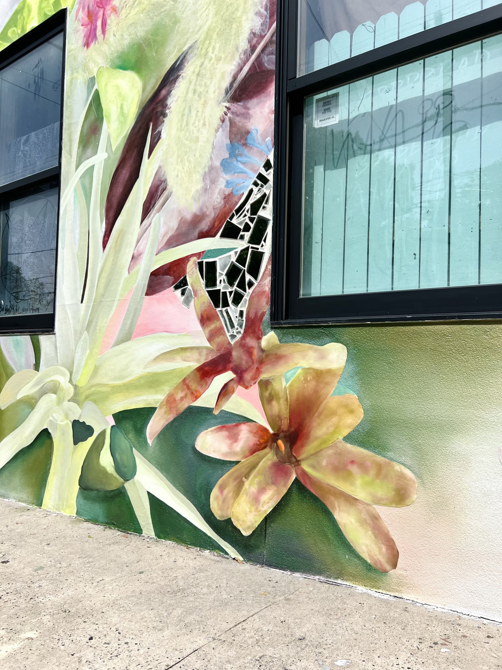 Plant Shop Close Up
