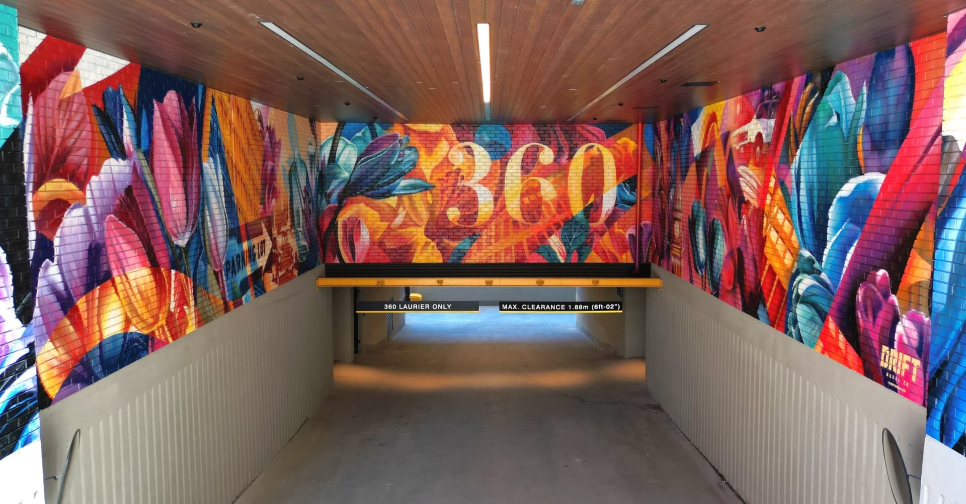 360 Laurier Immersive Color and Typography