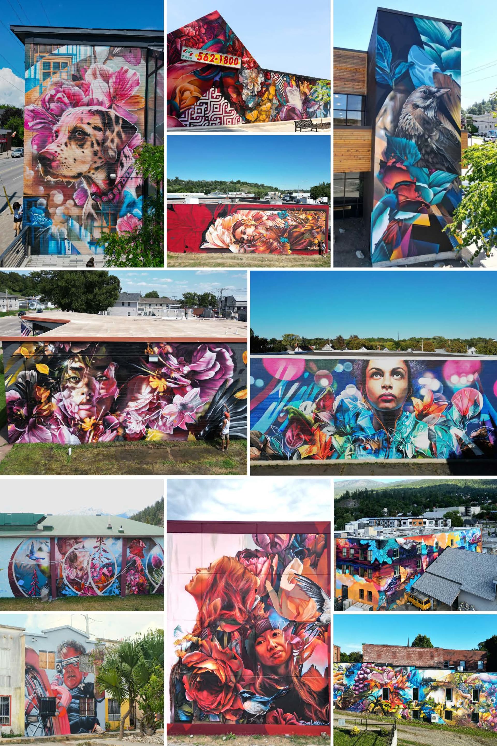 Floral Portraiture Across Urban Walls