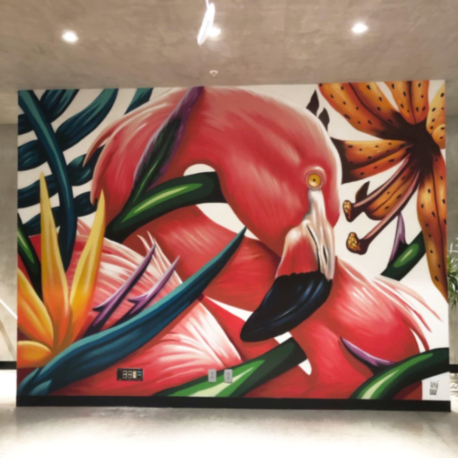 Freehold Flamingo