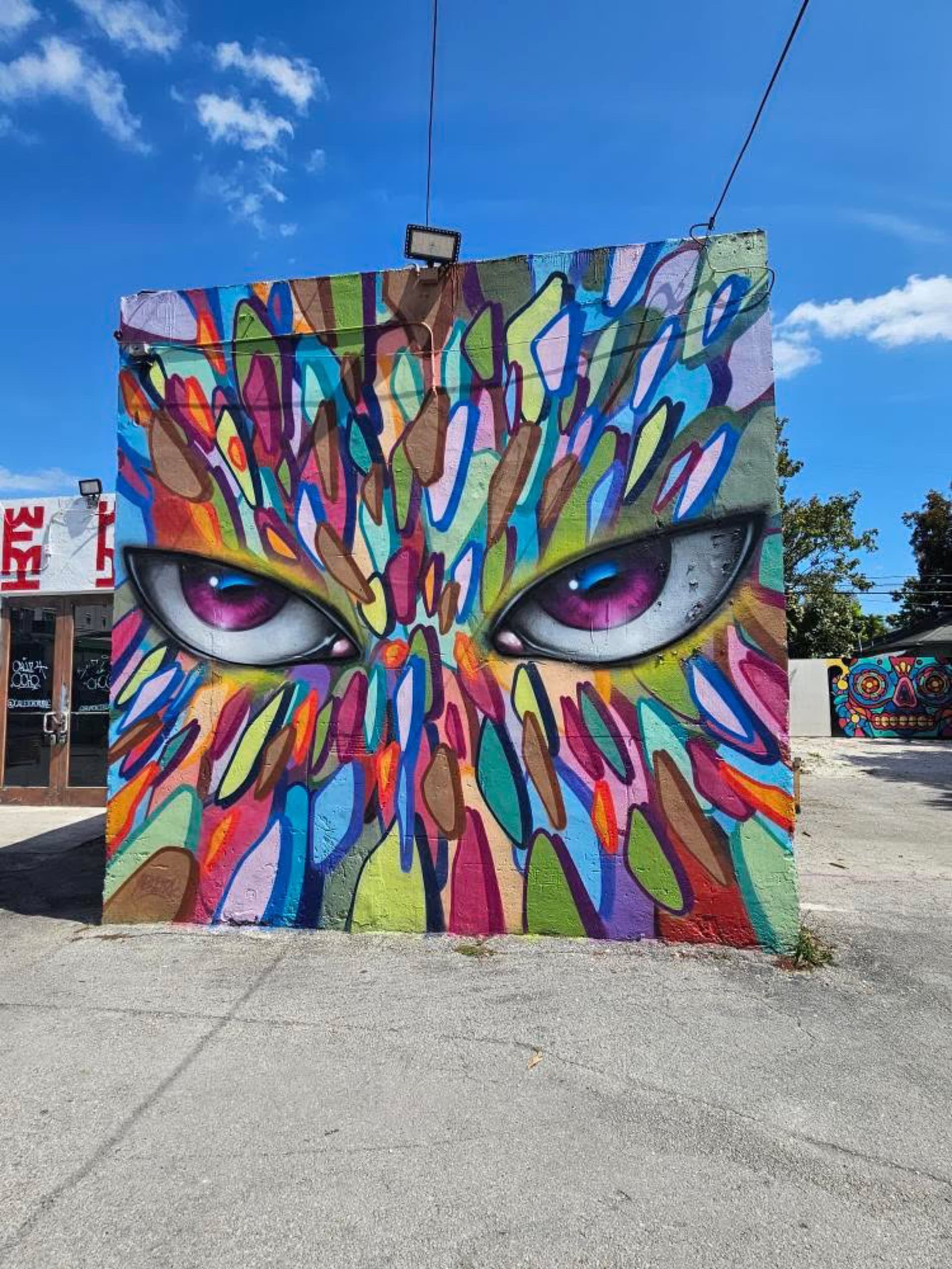 Eyes in a Kaleidoscope of Color