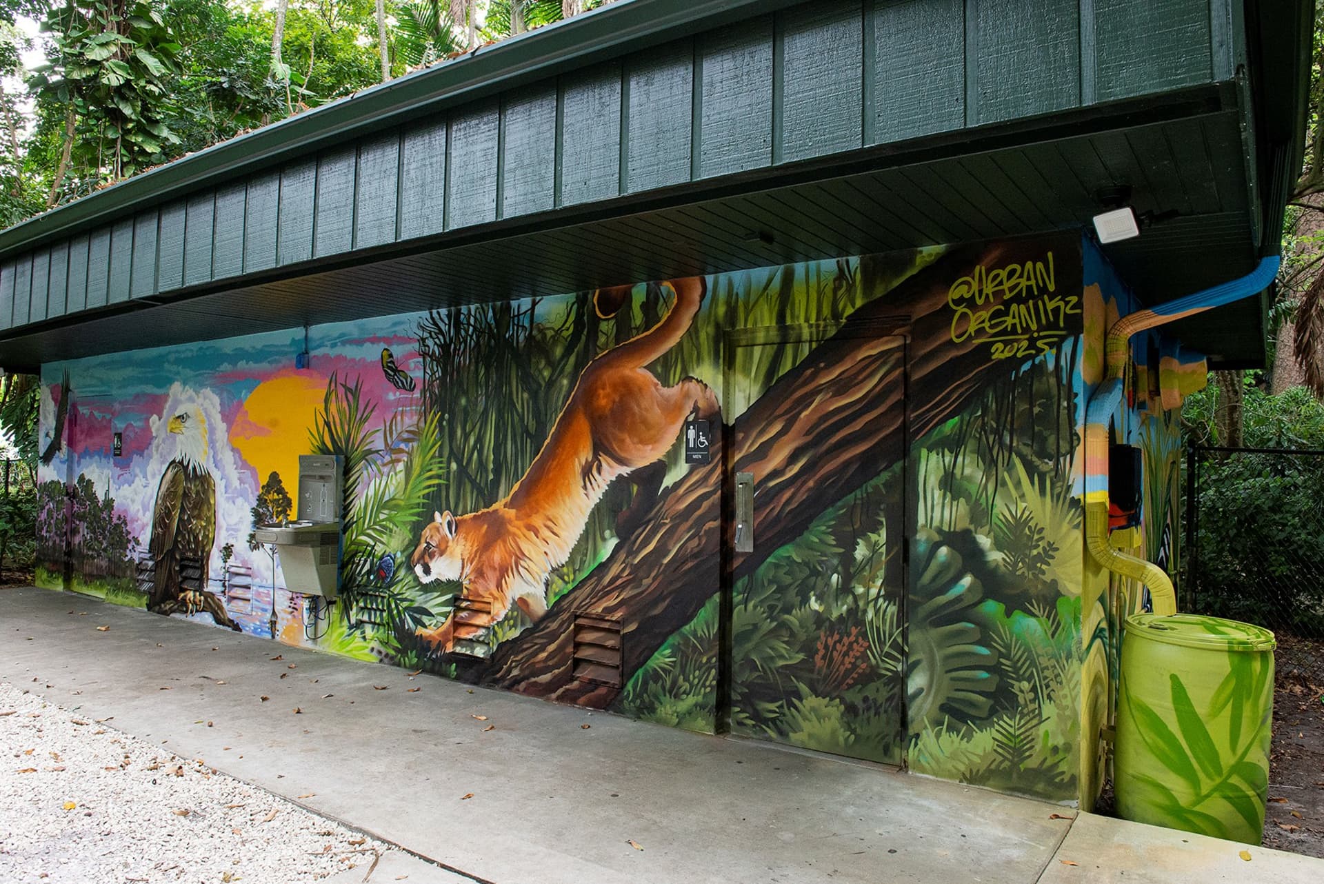 Native florida panther
