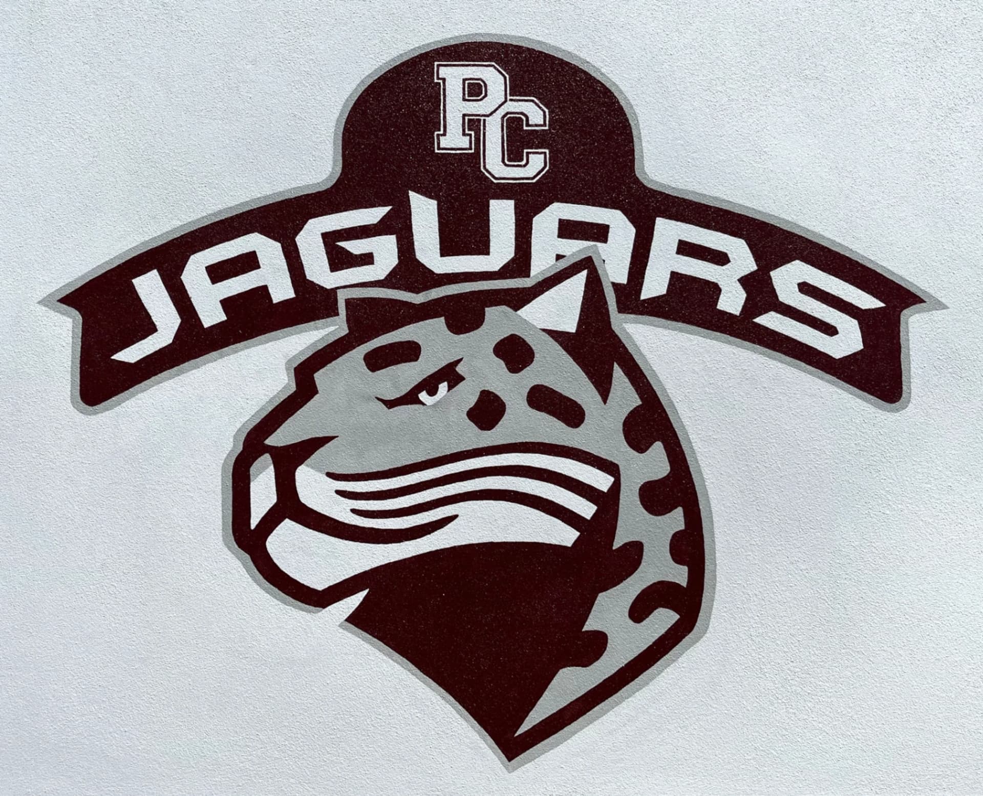 Jaguars Logo Detail