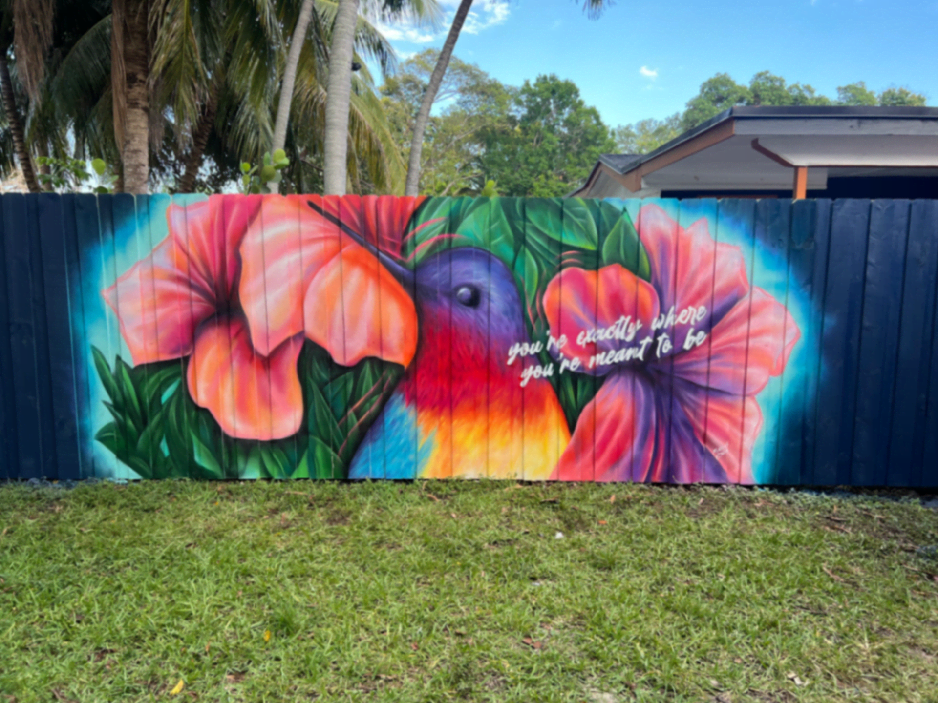 hummingbird