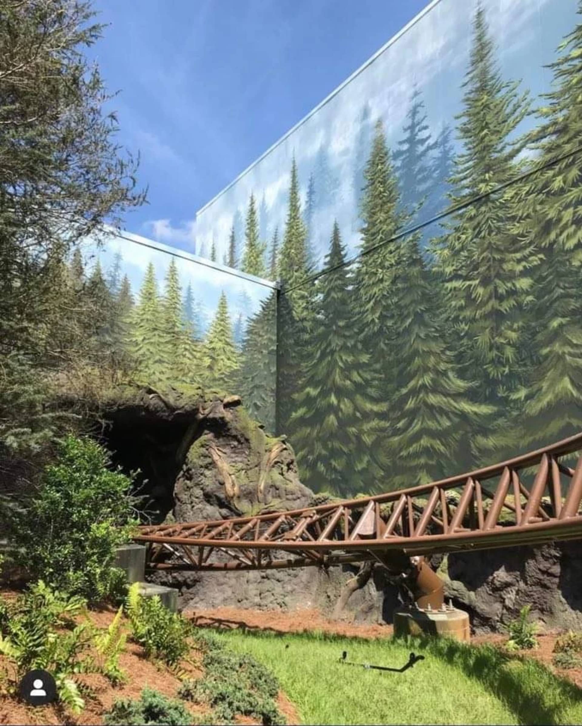 Forbidden Forest