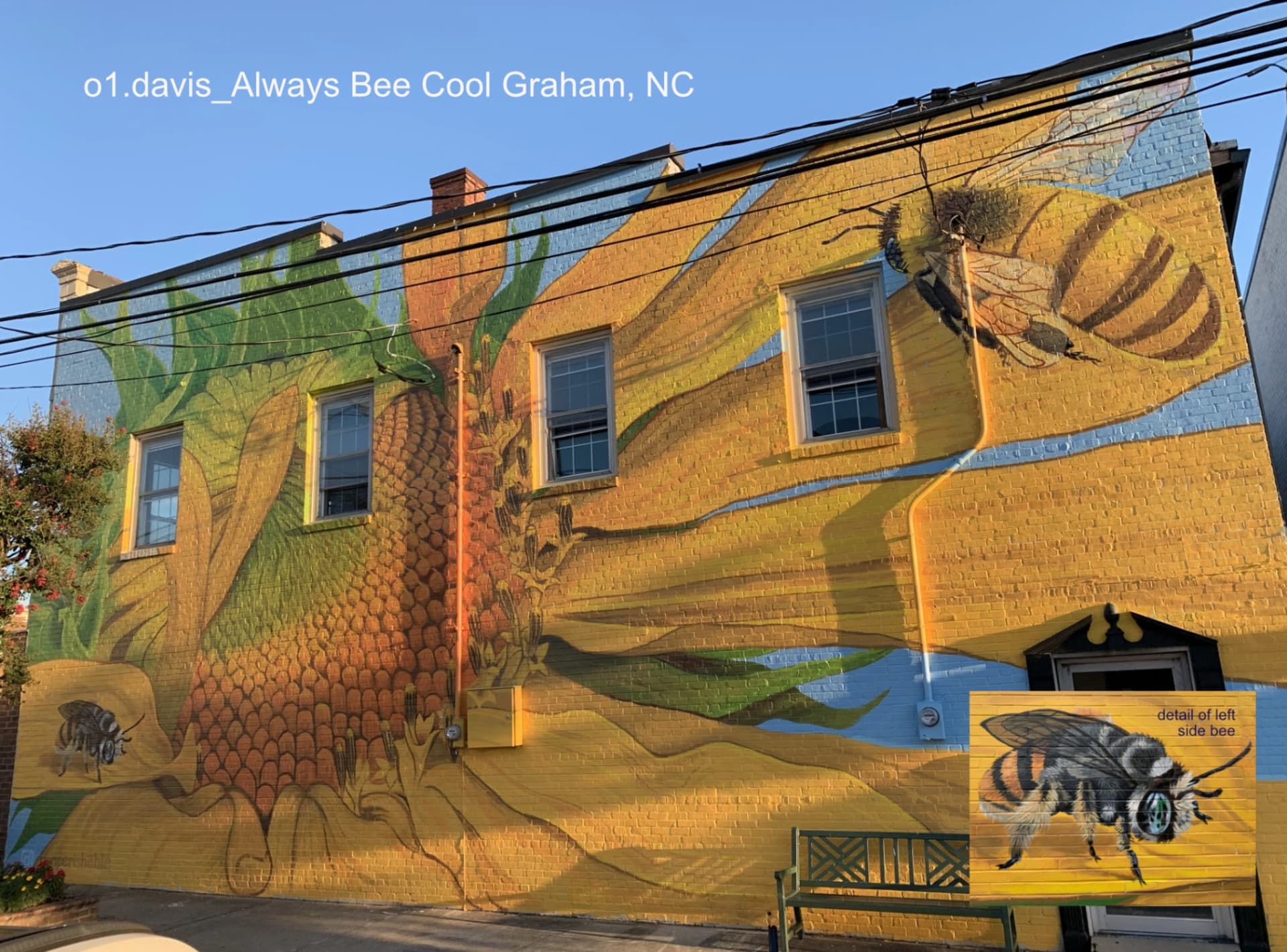 always bee cool