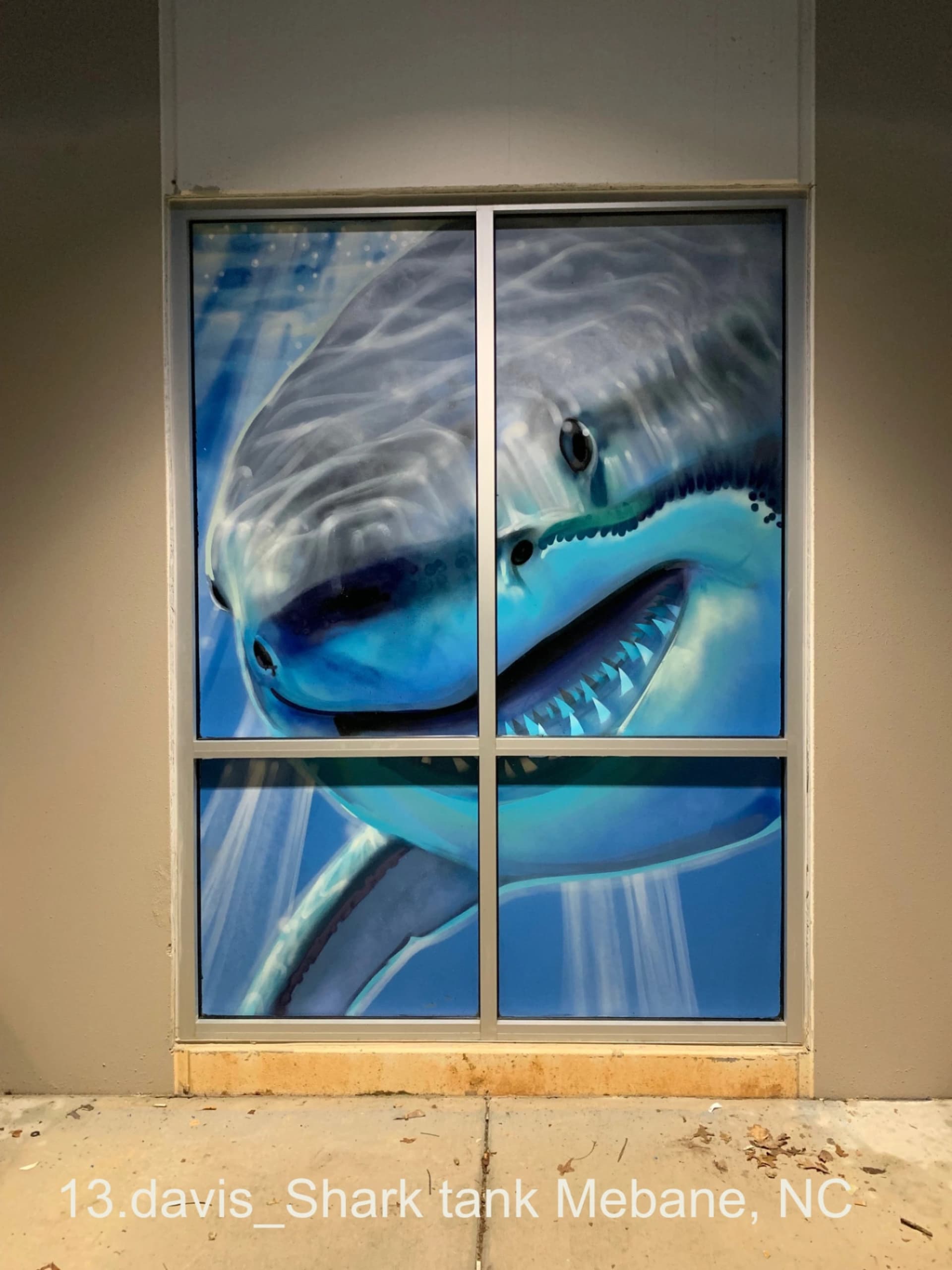 shark tank