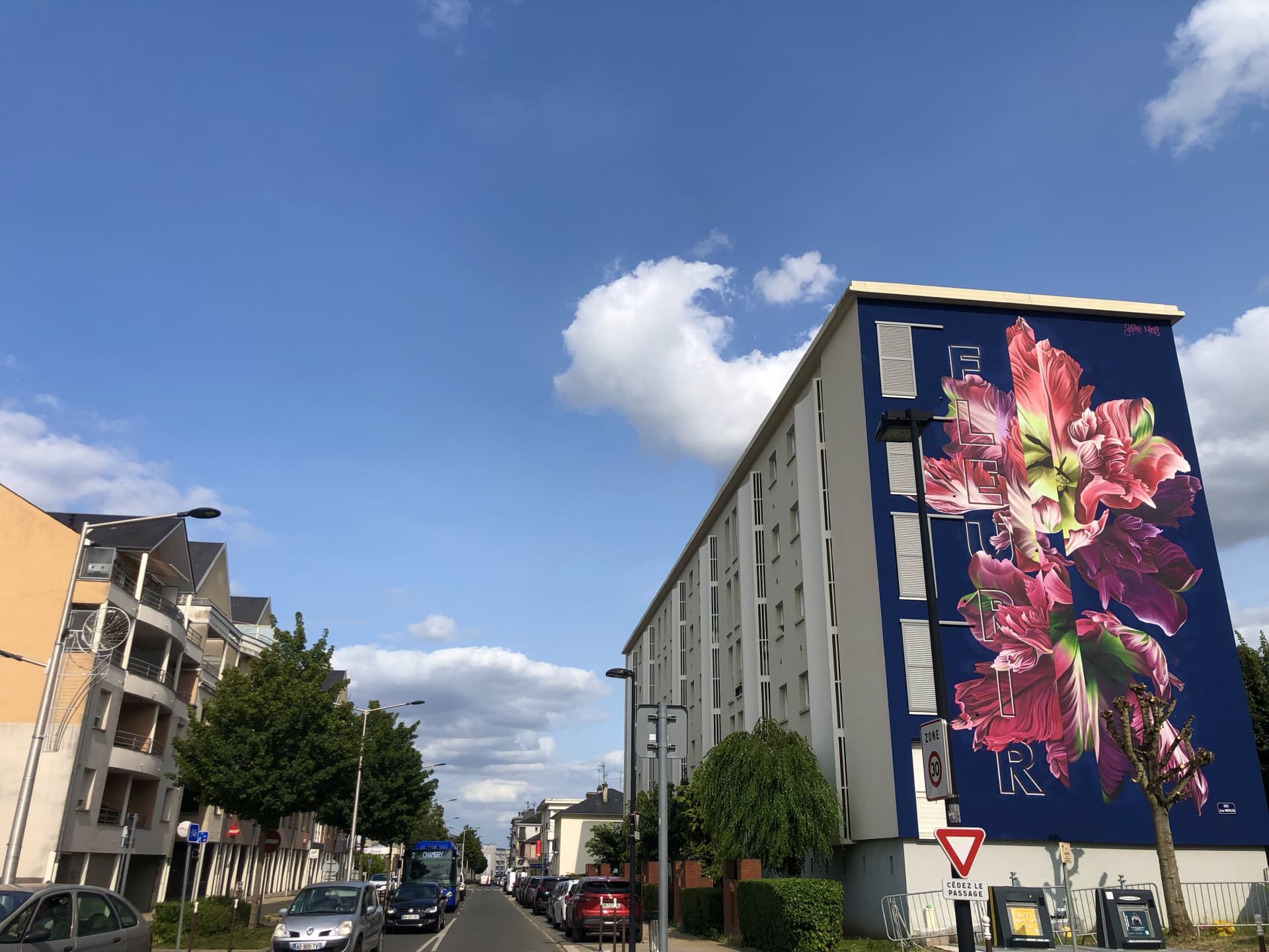 Floral Reverie in Urban Space