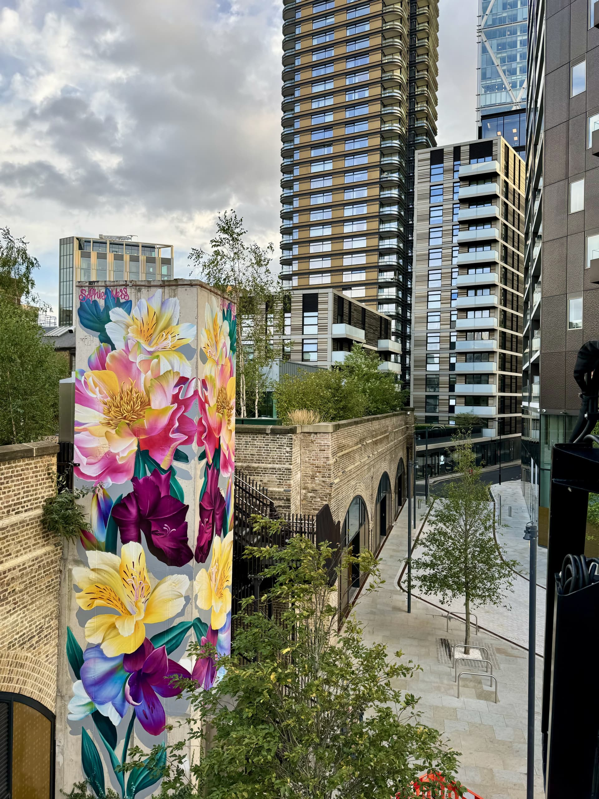 Urban Blooms: Nature's Palette in Concrete Jungle