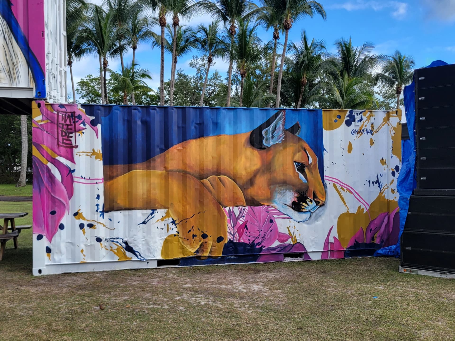 fiu panther