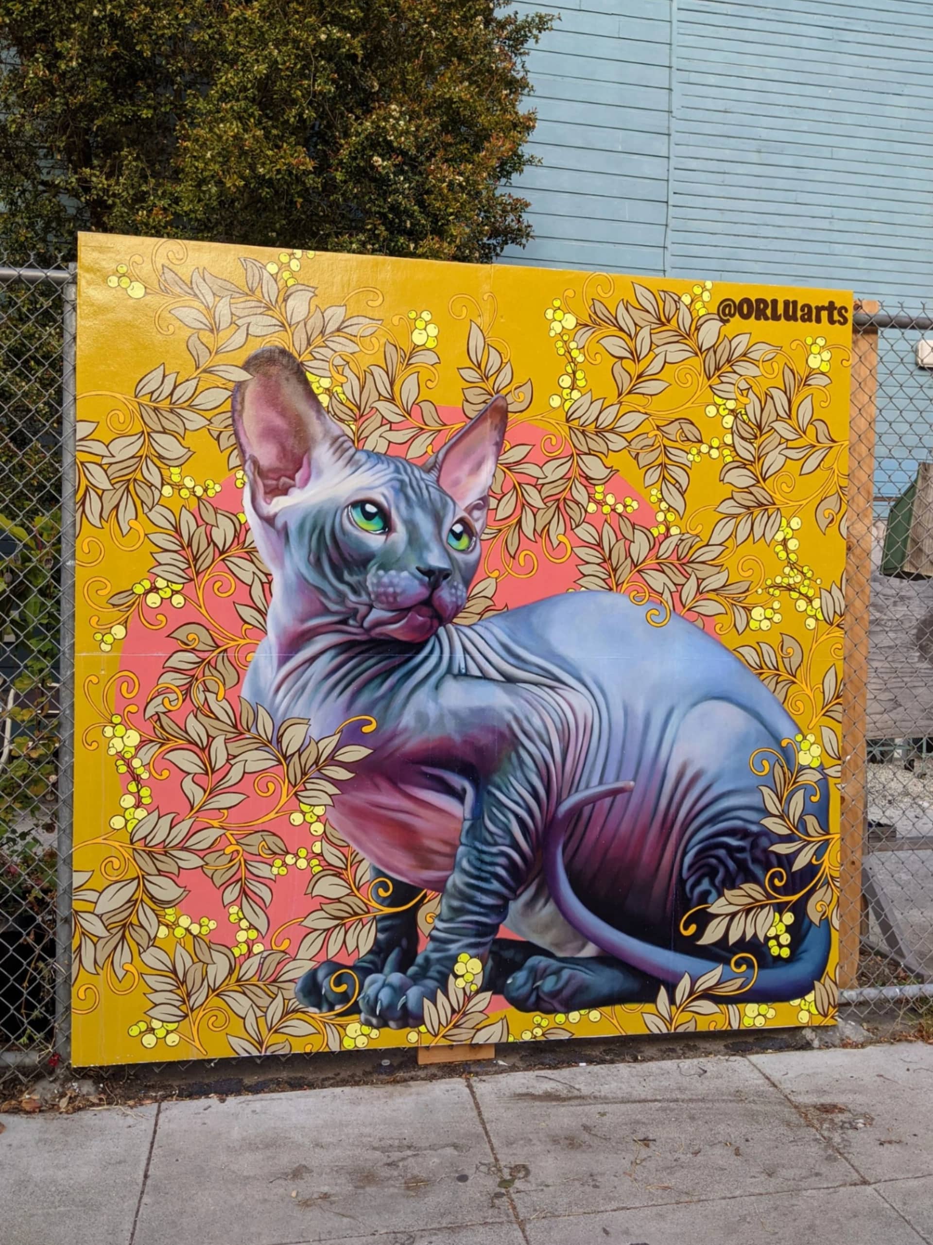 Sphynx