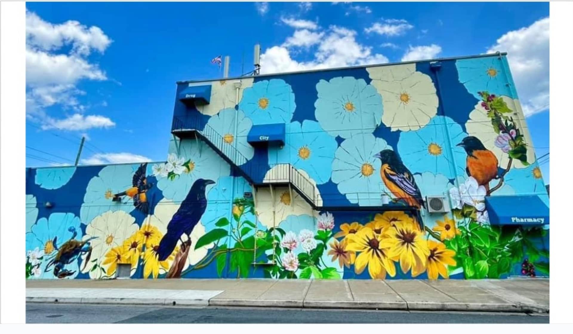 "Garden Mural" with Rowan Bathurst