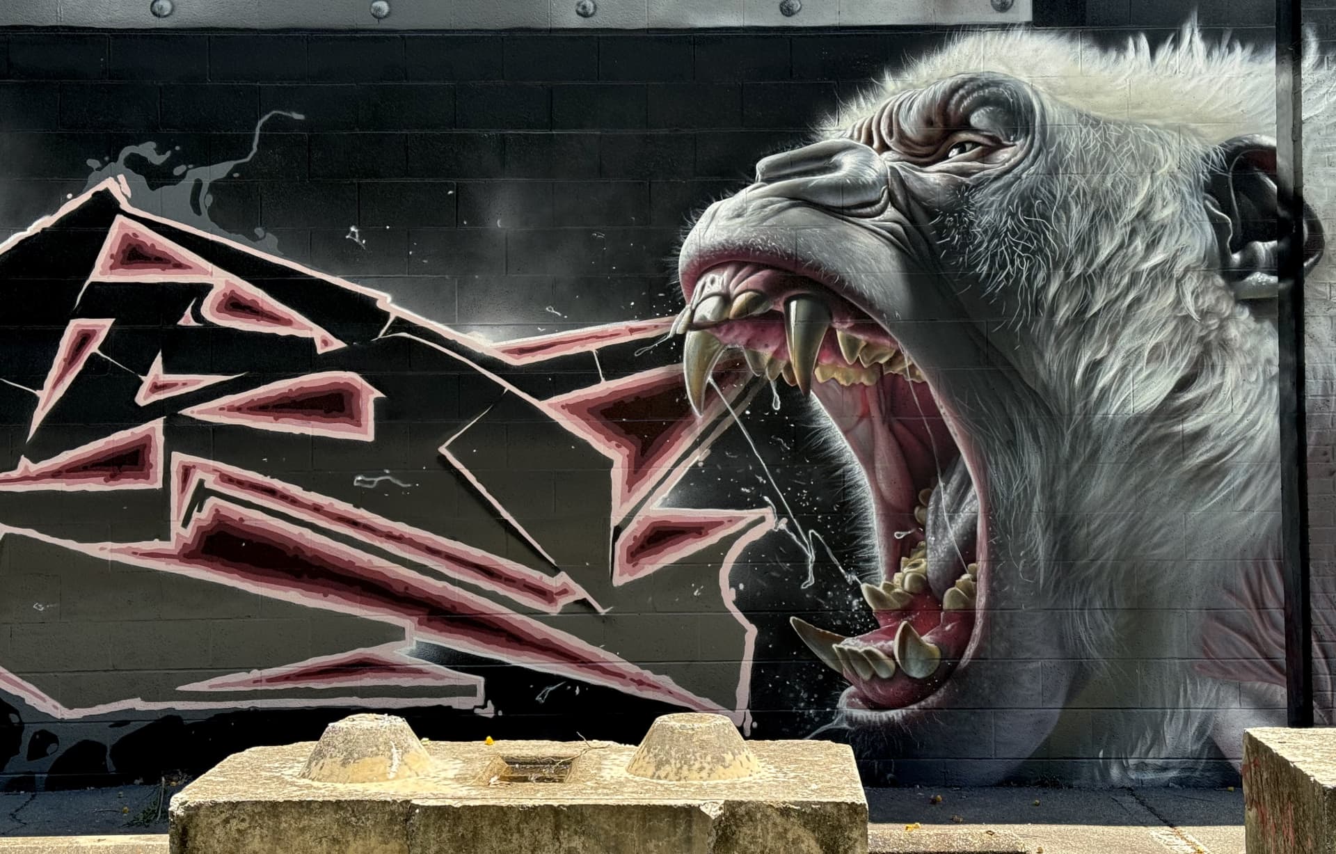 Roar of Urban Wildness Unleashed