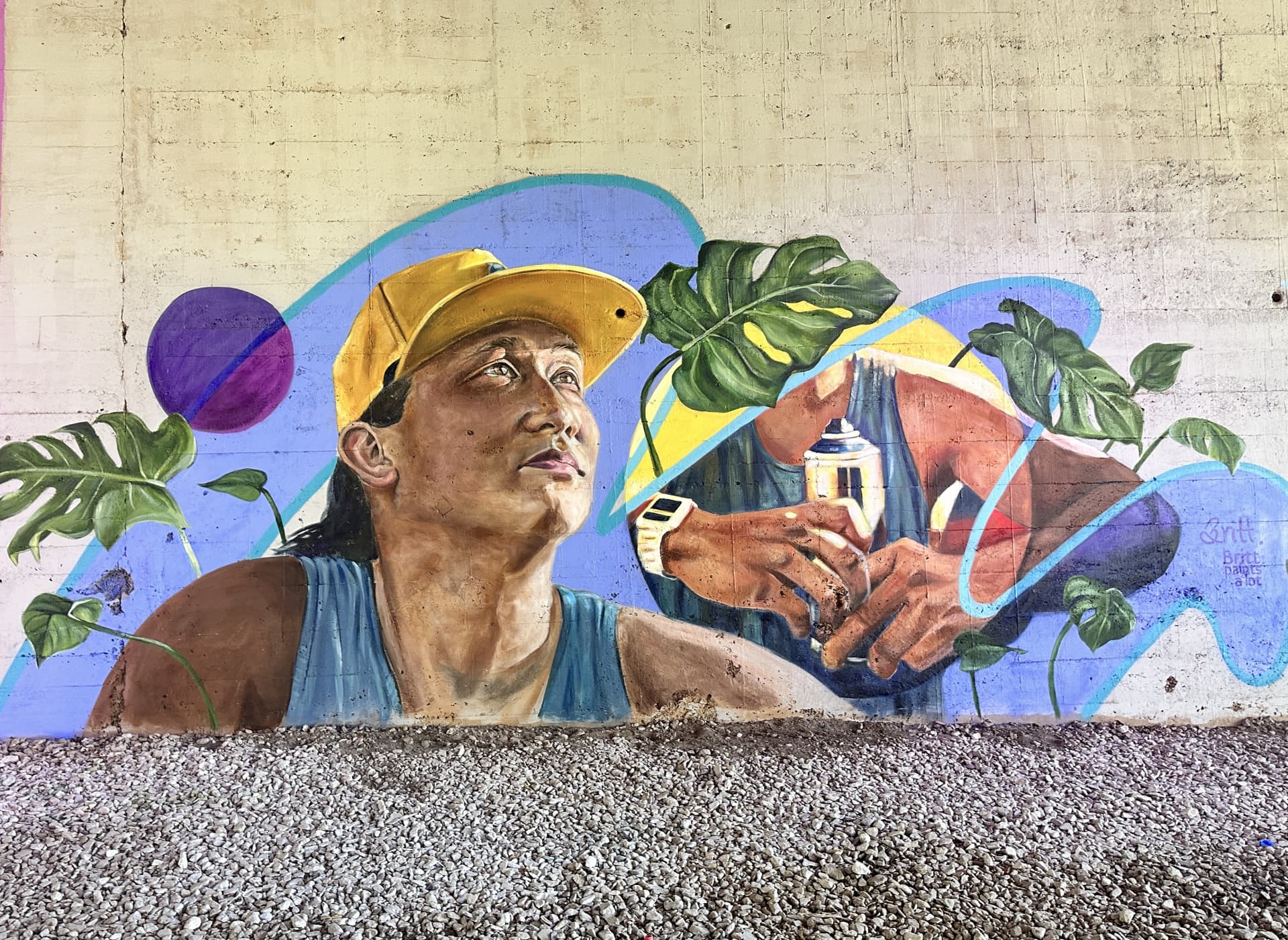 Echoes of Creativity and Connection