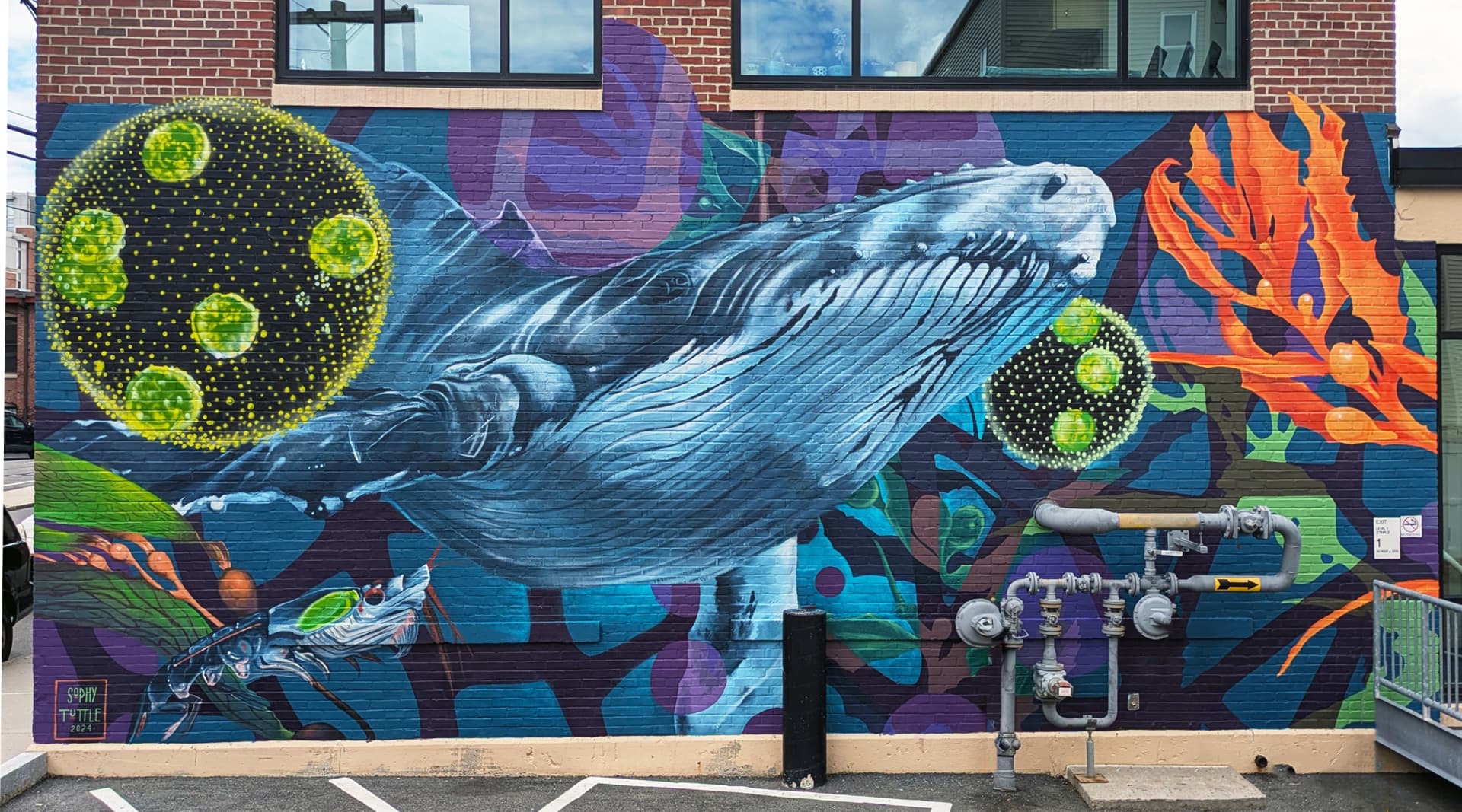 Cetacean Spiral