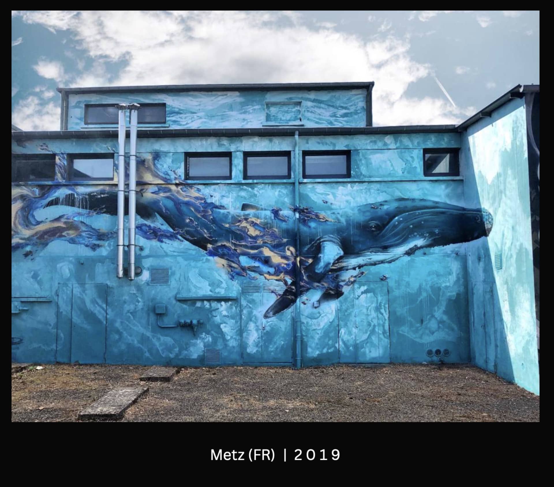 Whale Song in Oceanic Hues