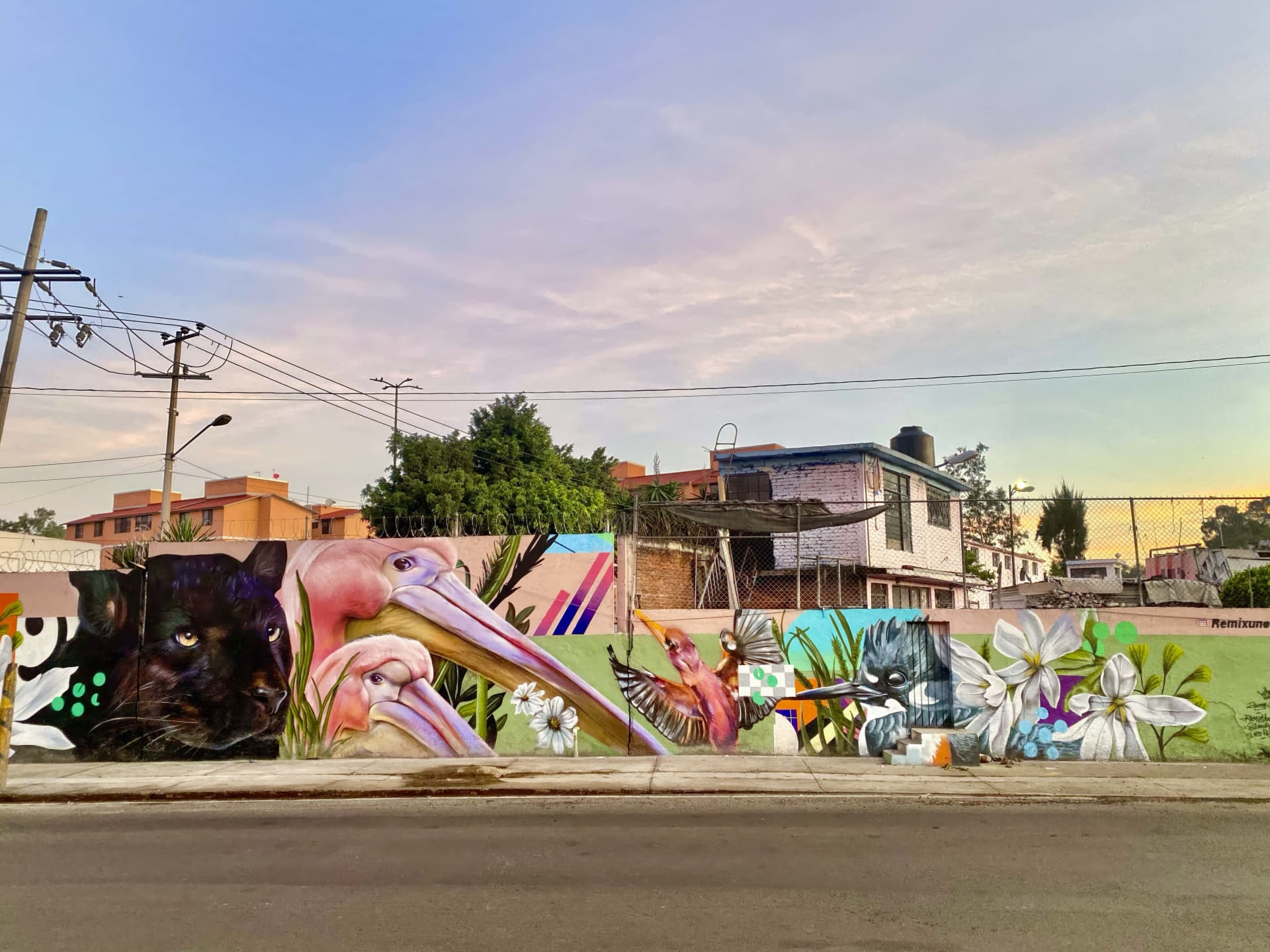 Wild Harmony in Urban Color