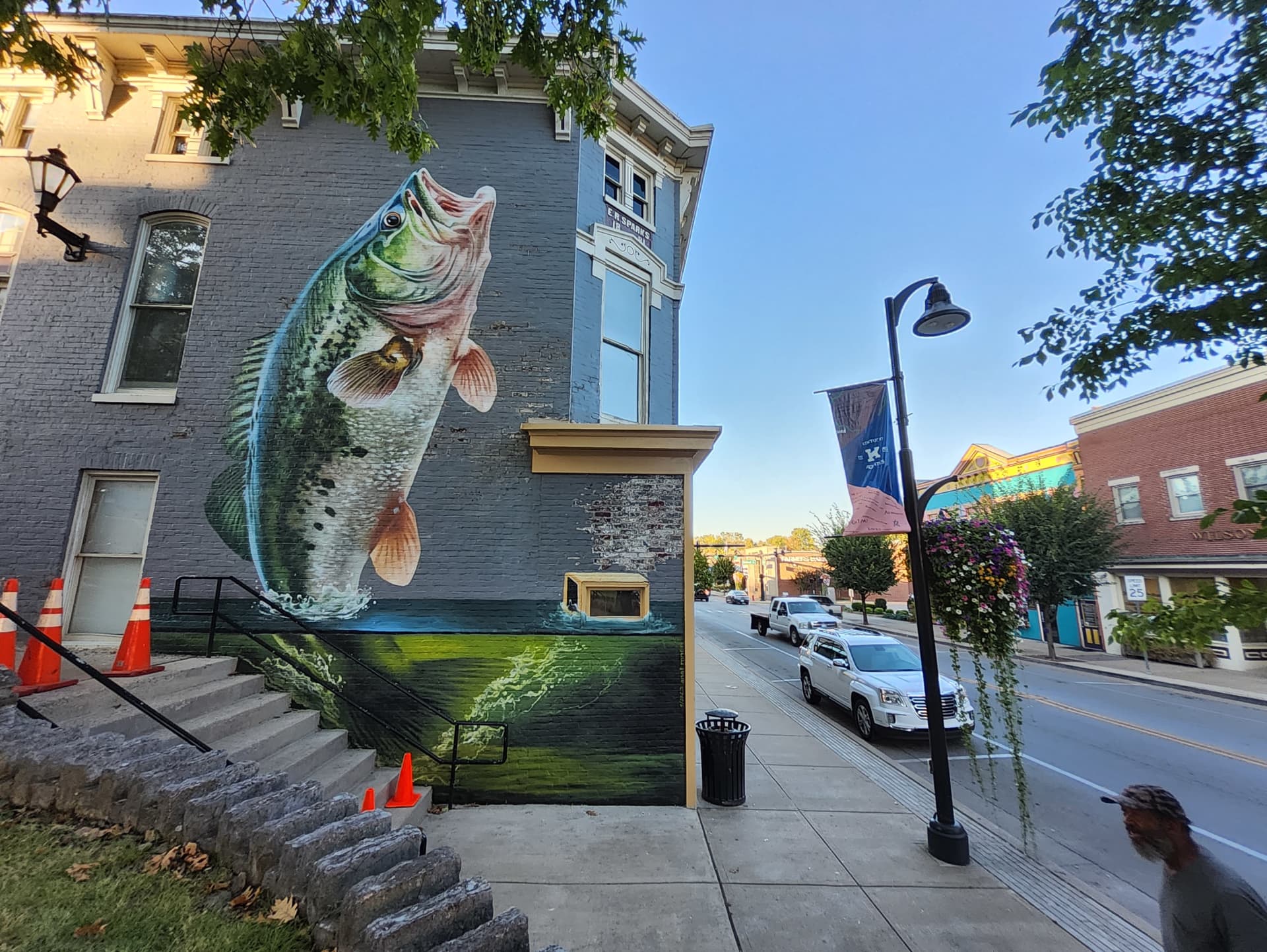 The fish