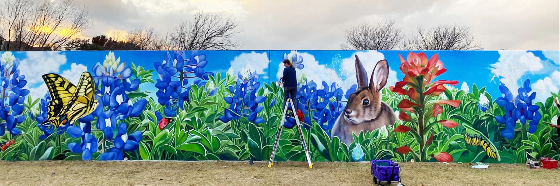 Texas spring