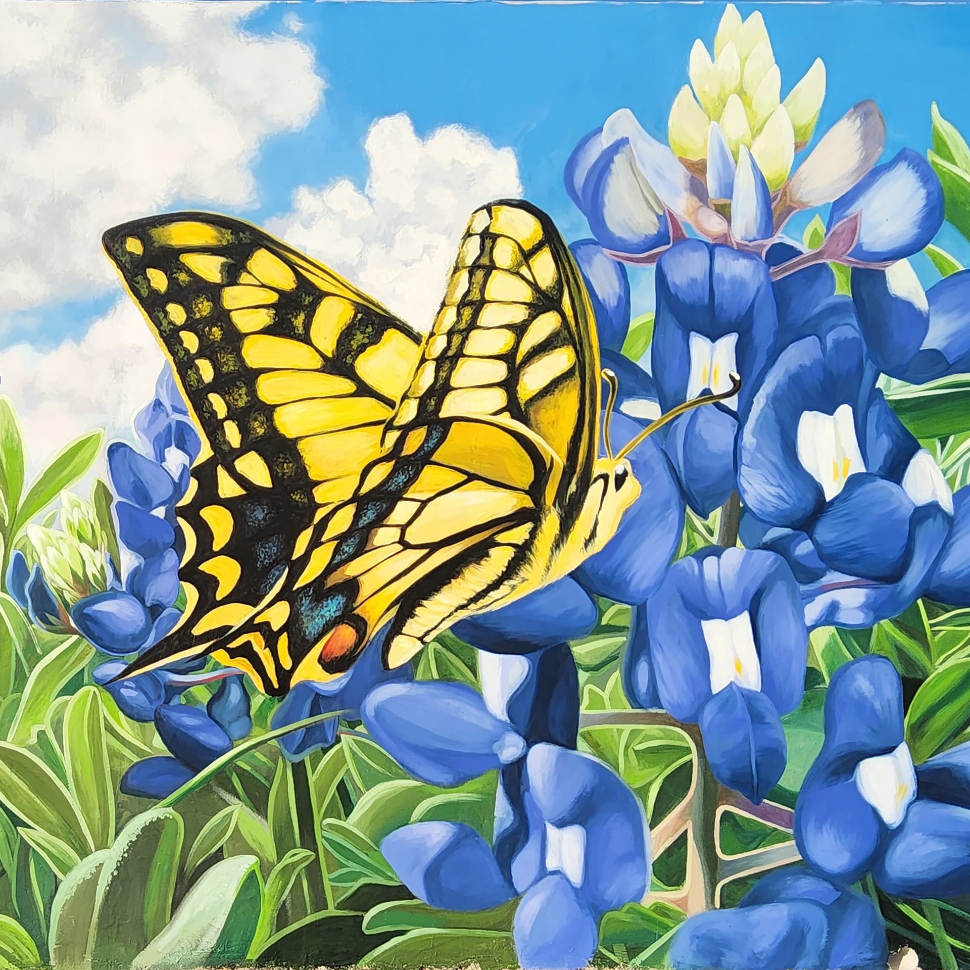 Texas spring detail