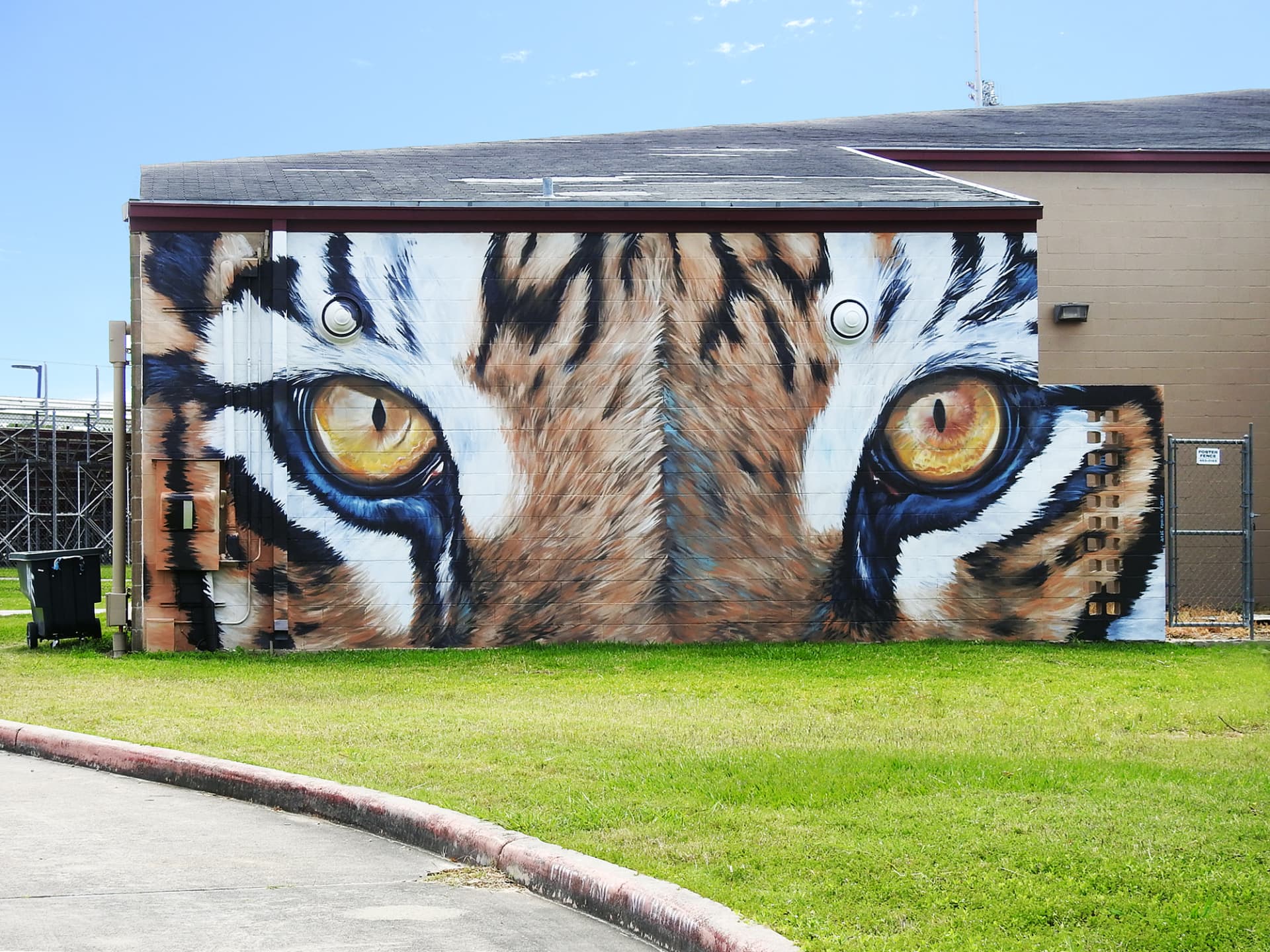 Eyes of the tiger