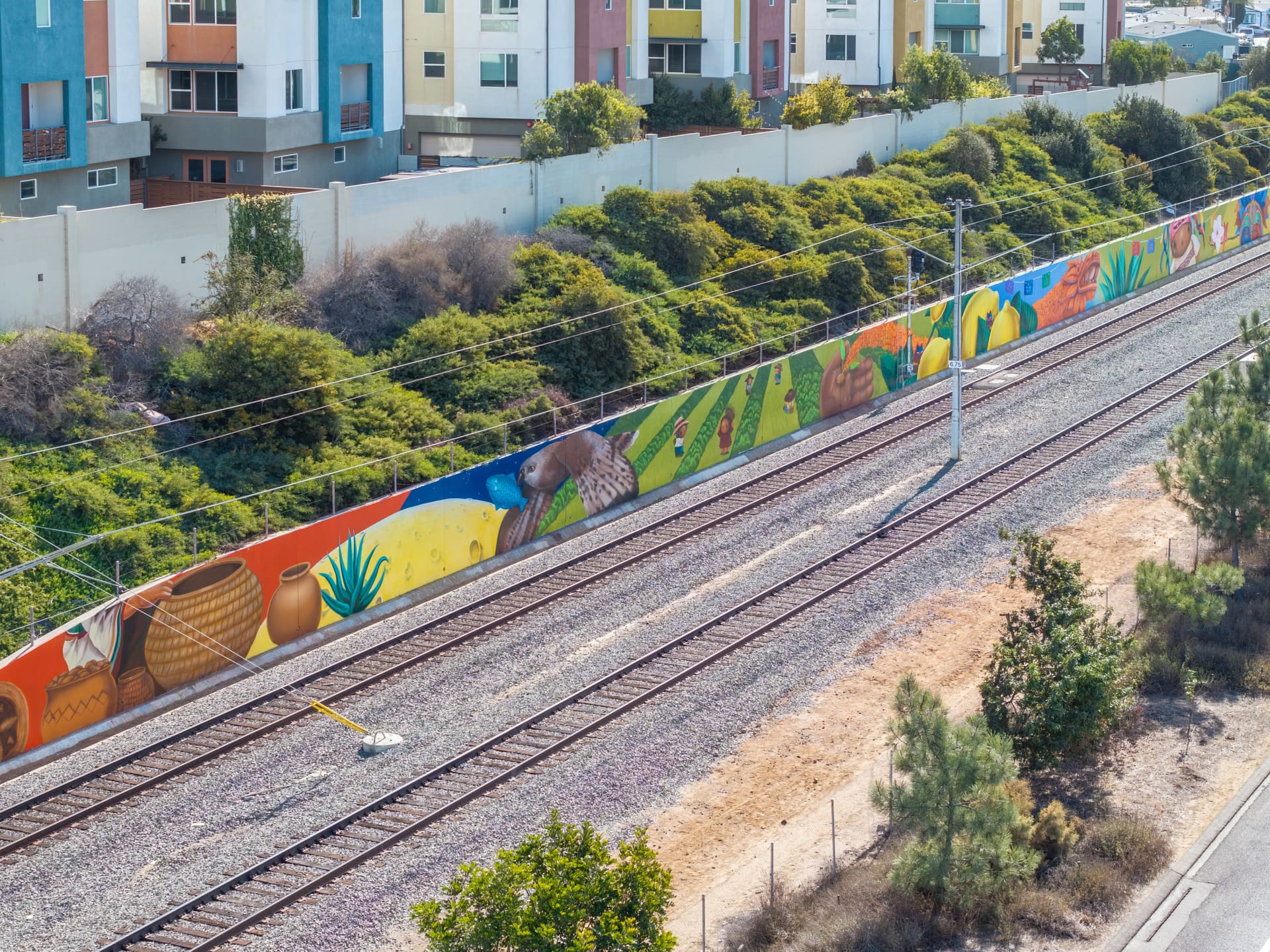 Cultural Harvest: A Celebration of Community Roots