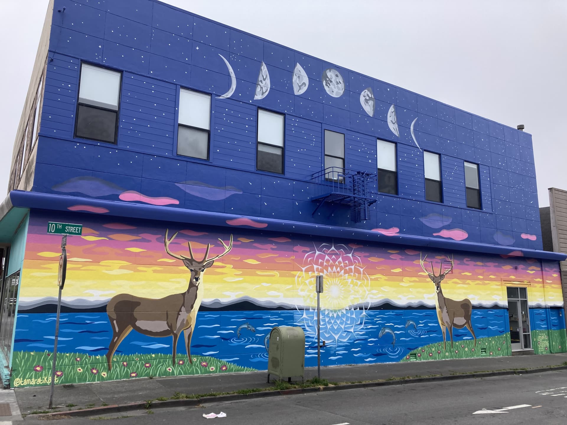 Deer at Dusk Under Lunar Phases by Tamar Atik Art