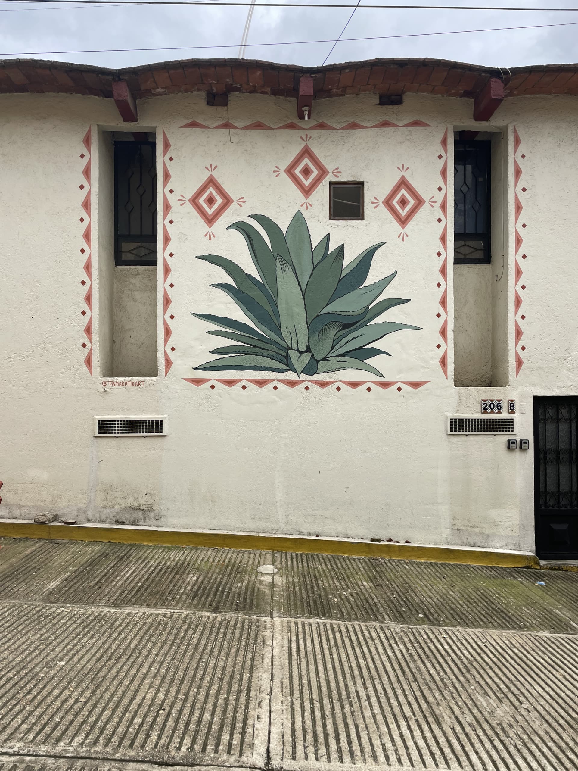 Agave Oasis in Geometric Frame by Tamar Atik Art